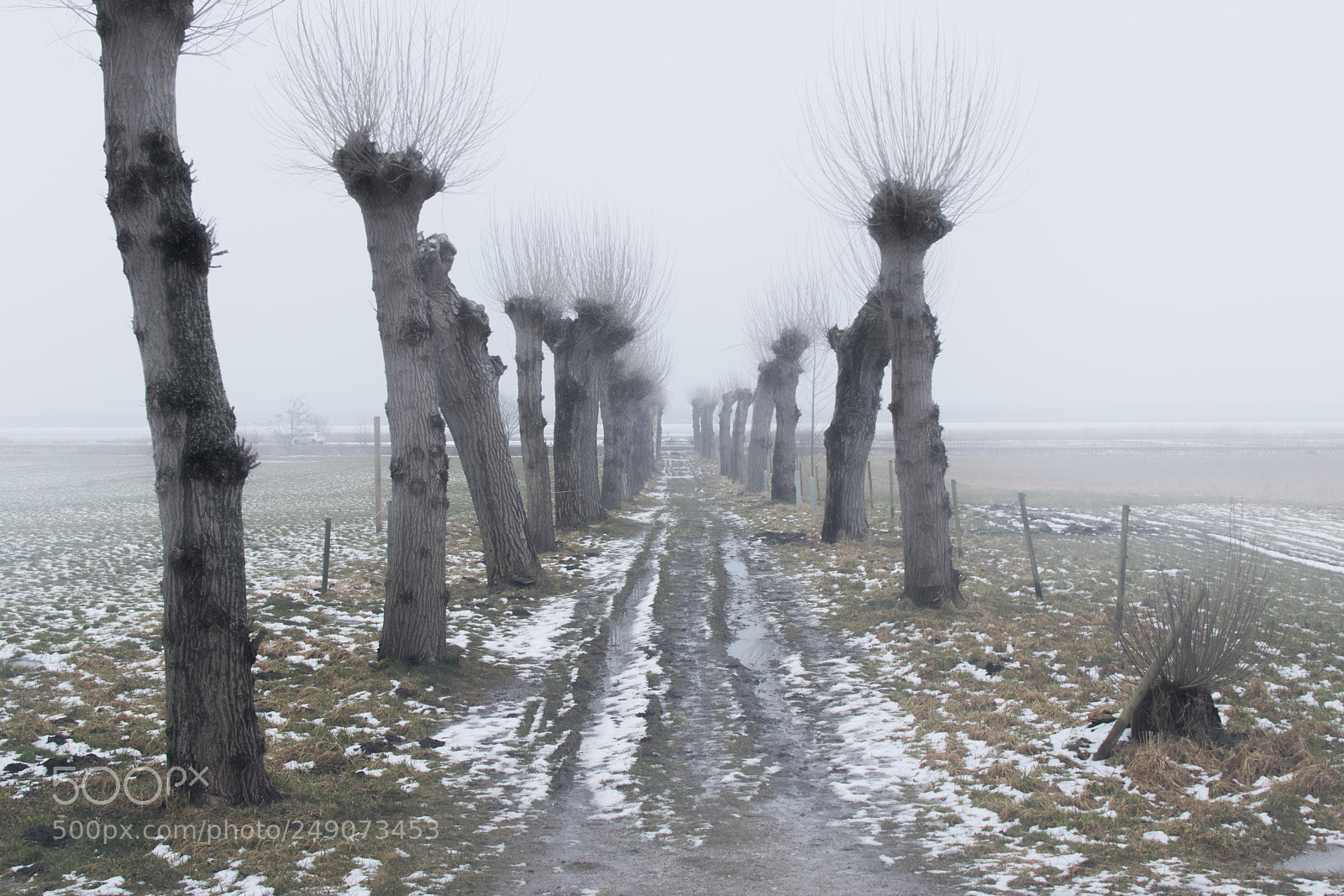 Nikon D3300 sample photo. A winter feeling on photography