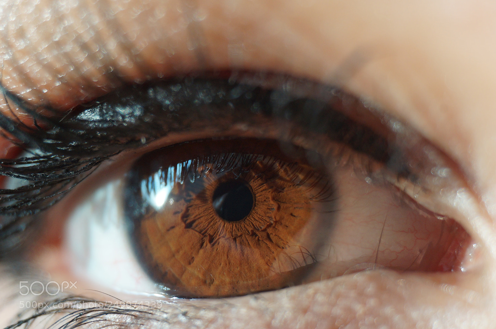 Sony Alpha NEX-F3 sample photo. Beautiful brown eye photography