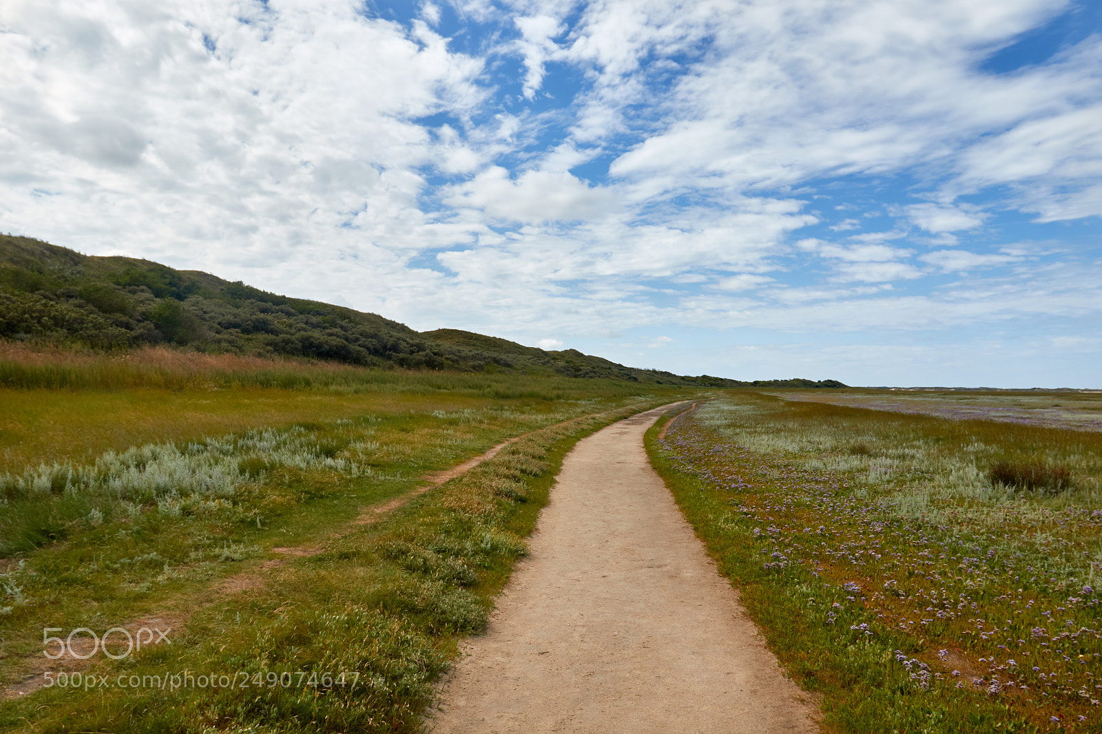 Canon EOS 7D Mark II sample photo. The slufter photography