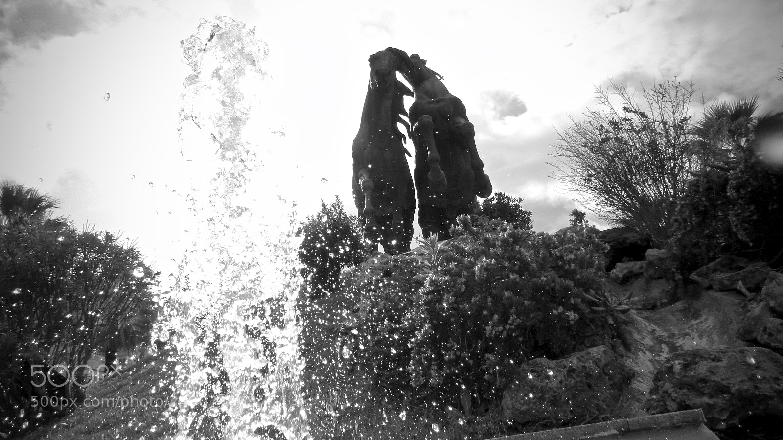 Canon PowerShot SX50 HS sample photo. The horse square photography