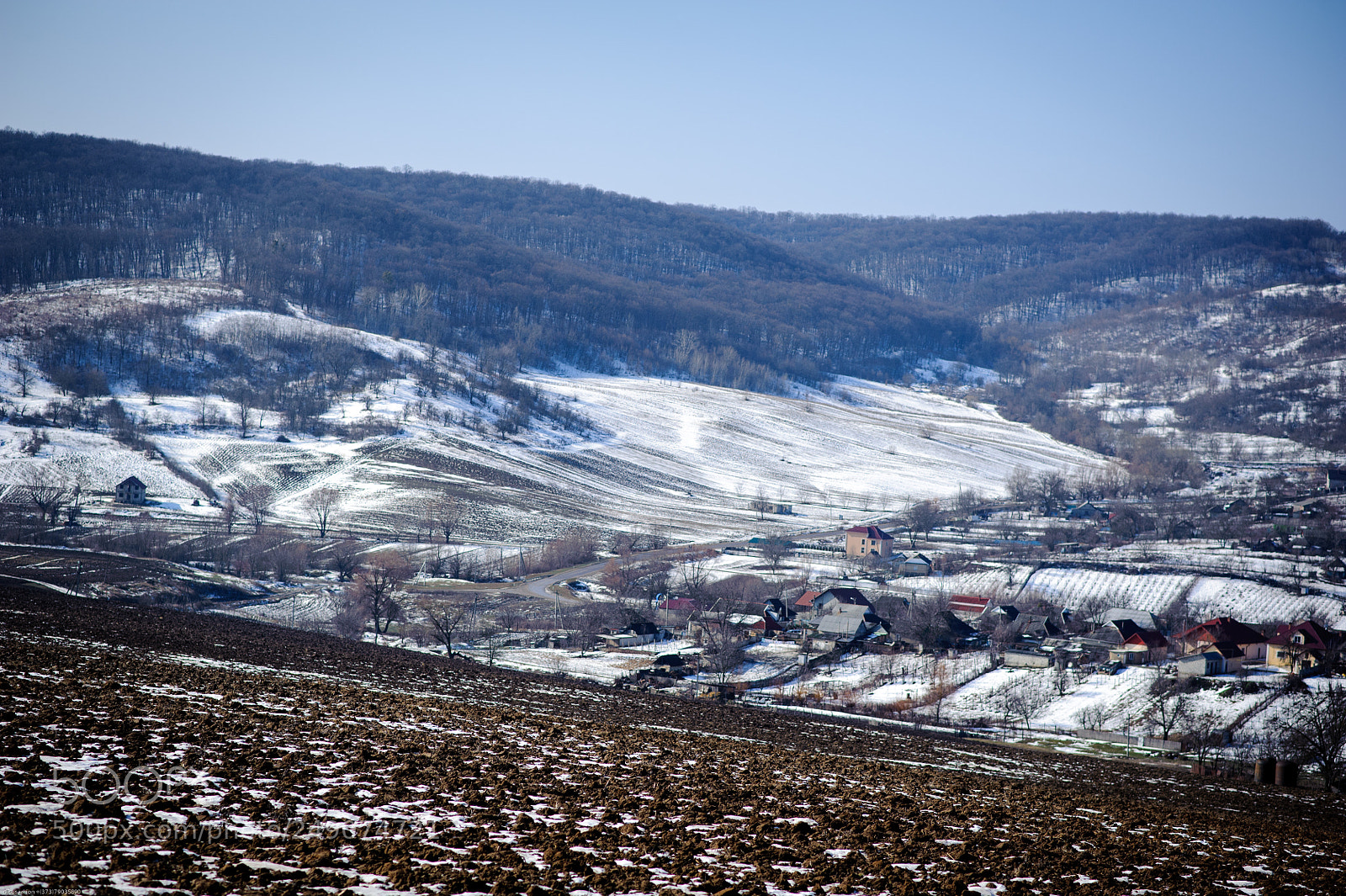 Nikon D700 sample photo. Spring... photography
