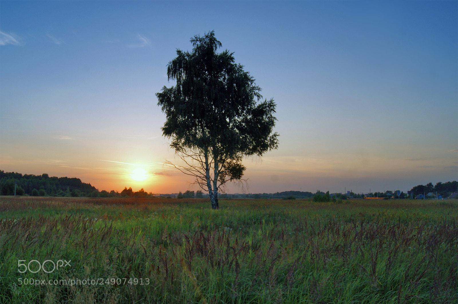 Sony Alpha DSLR-A290 sample photo. Serenity photography