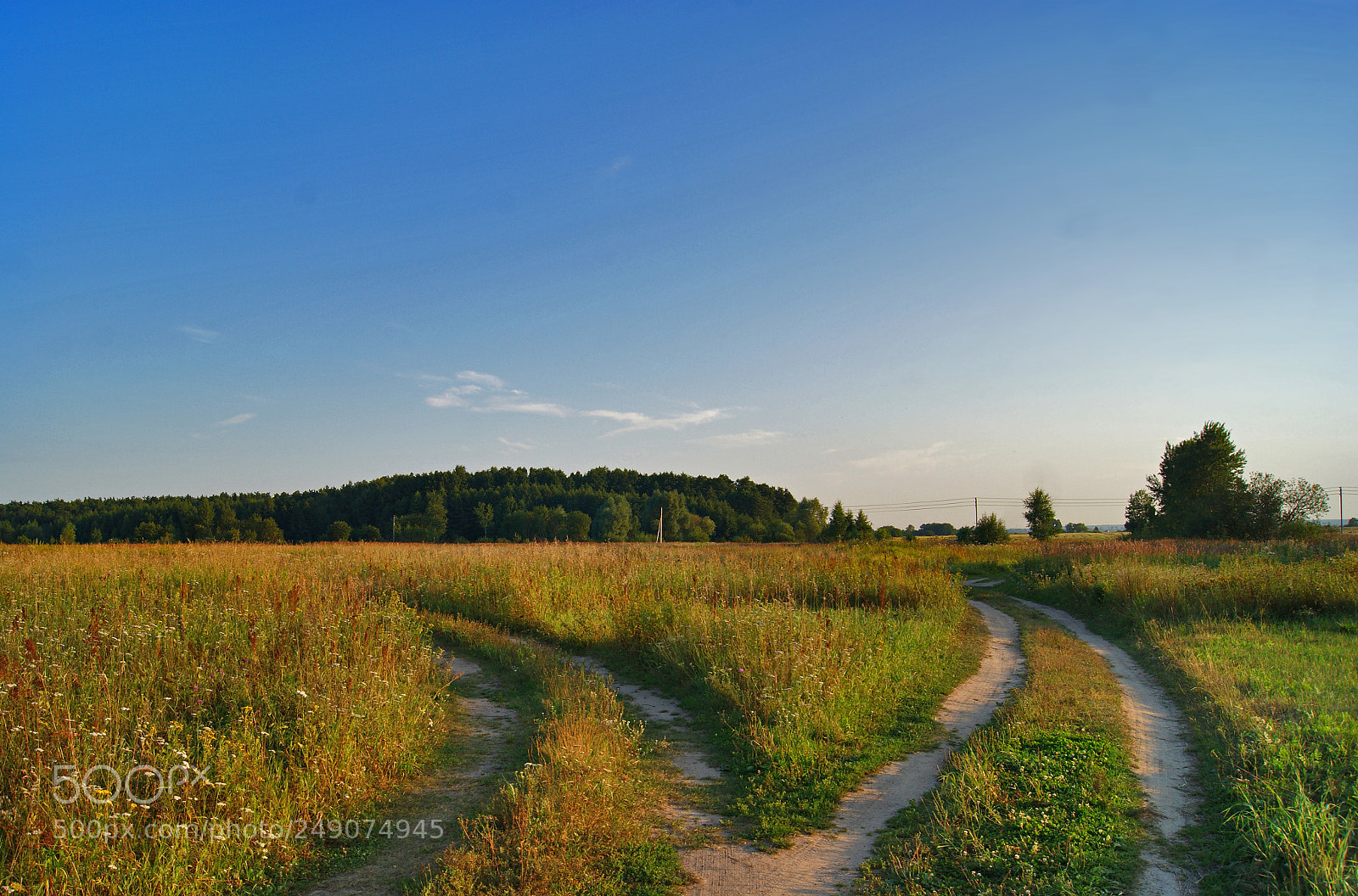 Sony Alpha DSLR-A290 sample photo. Serenity photography