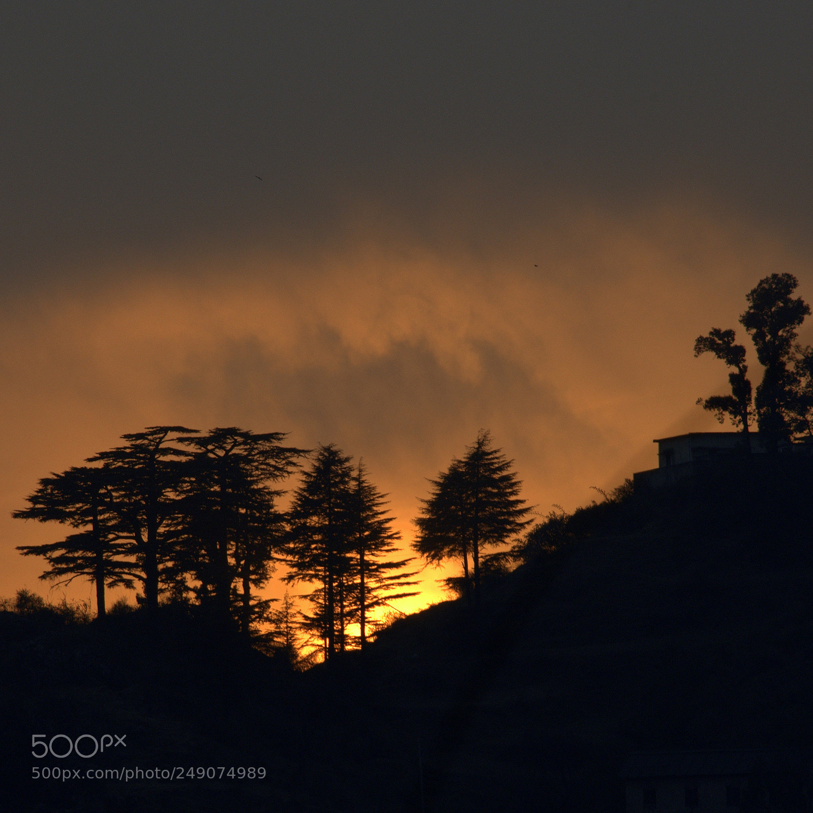 Nikon D610 sample photo. Nabha sunset photography