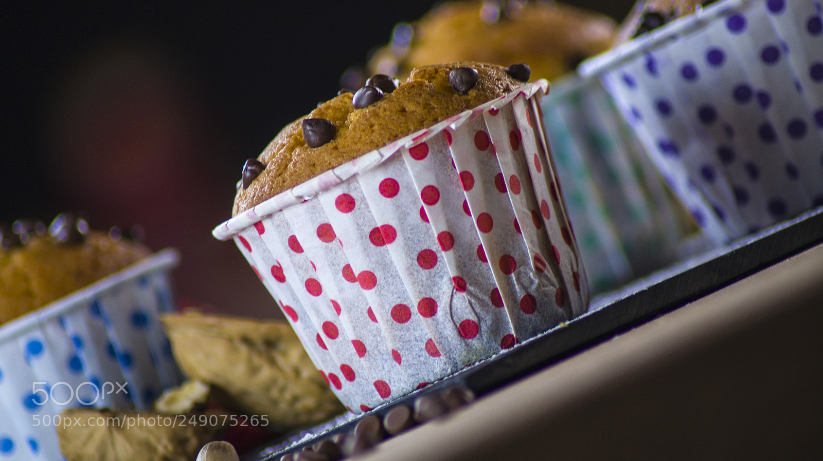 Sony SLT-A58 sample photo. Copie photography