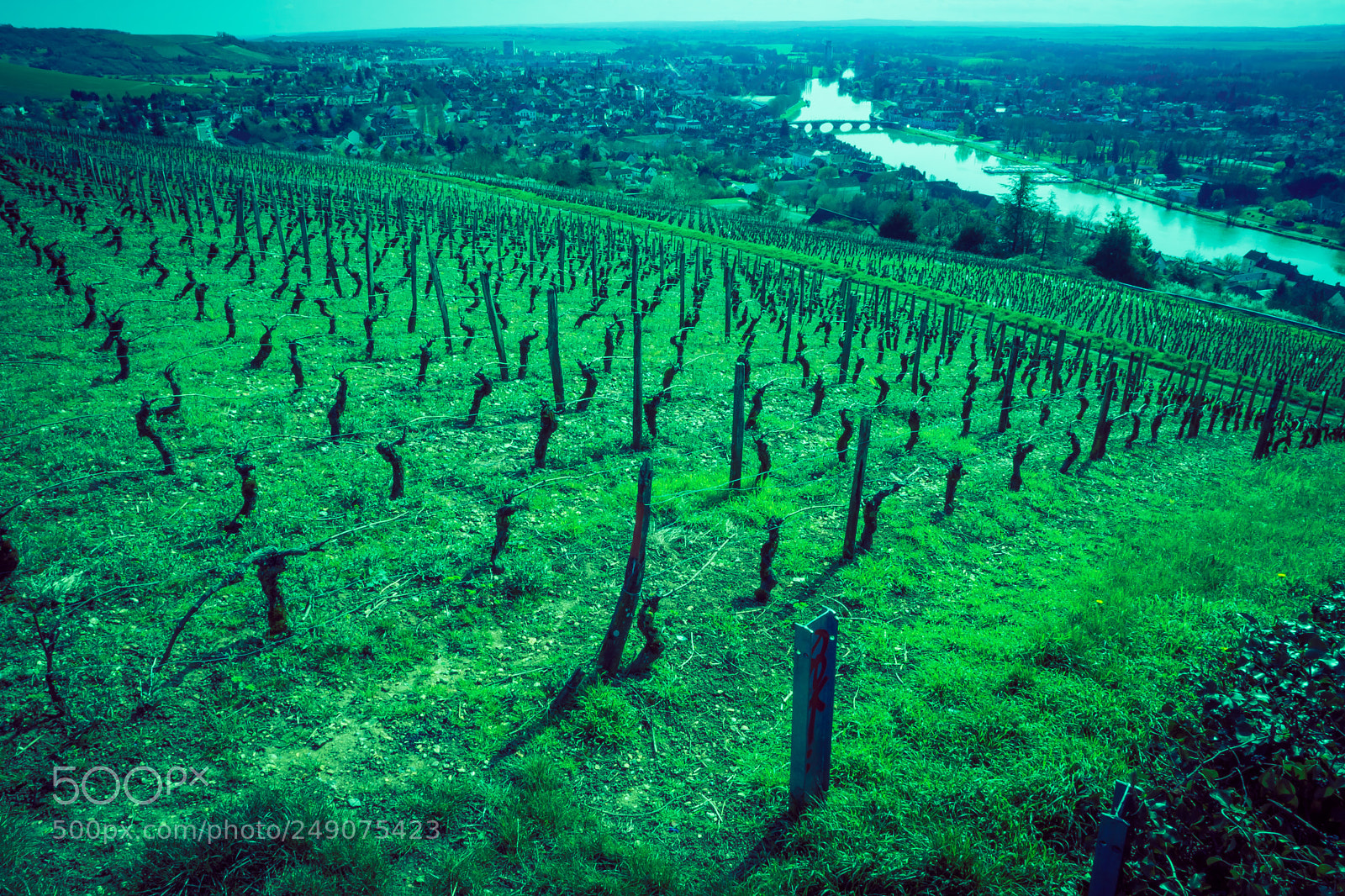 Sony ILCA-77M2 sample photo. Joigny, dans l'yonne photography