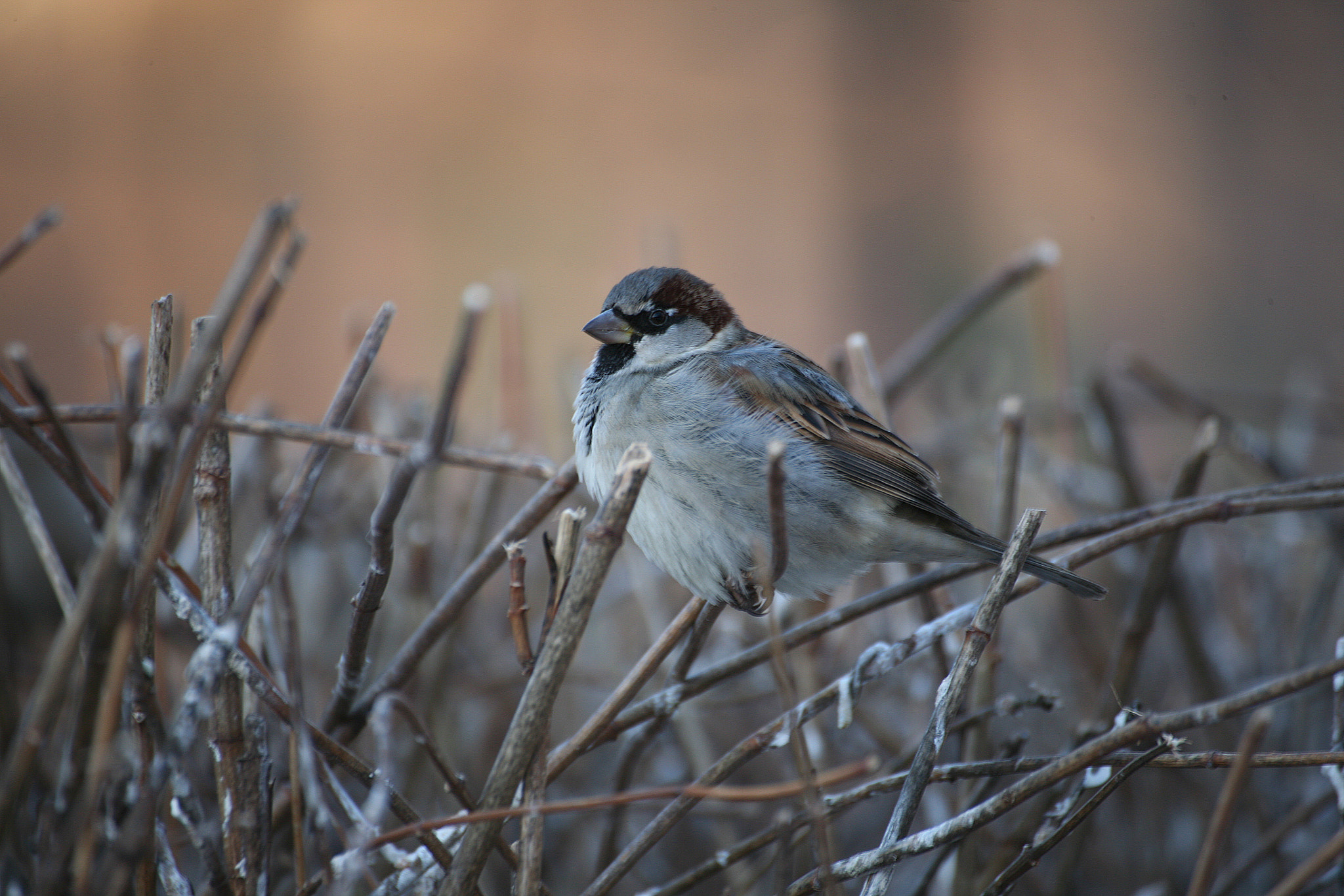 Canon EOS 5D sample photo. 2.jpg photography