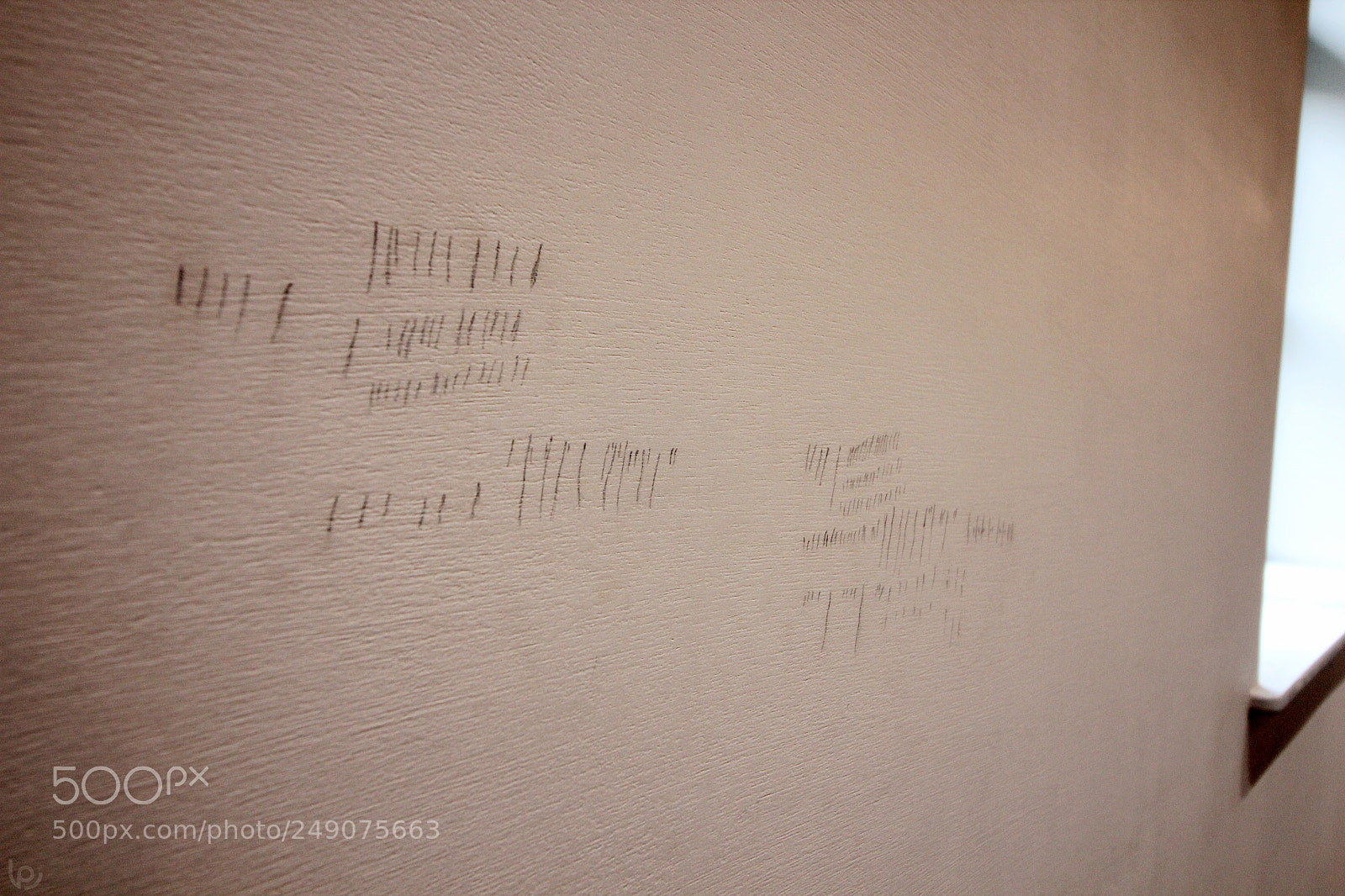 Canon EOS 600D (Rebel EOS T3i / EOS Kiss X5) sample photo. Counting photography
