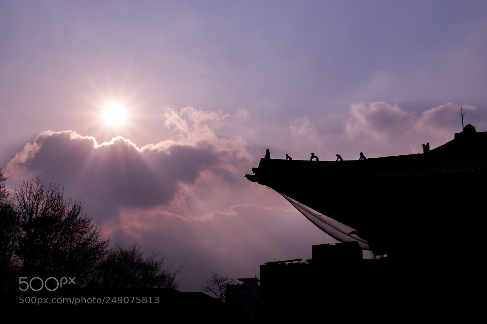 Nikon D5600 sample photo. Korean-style roof photography