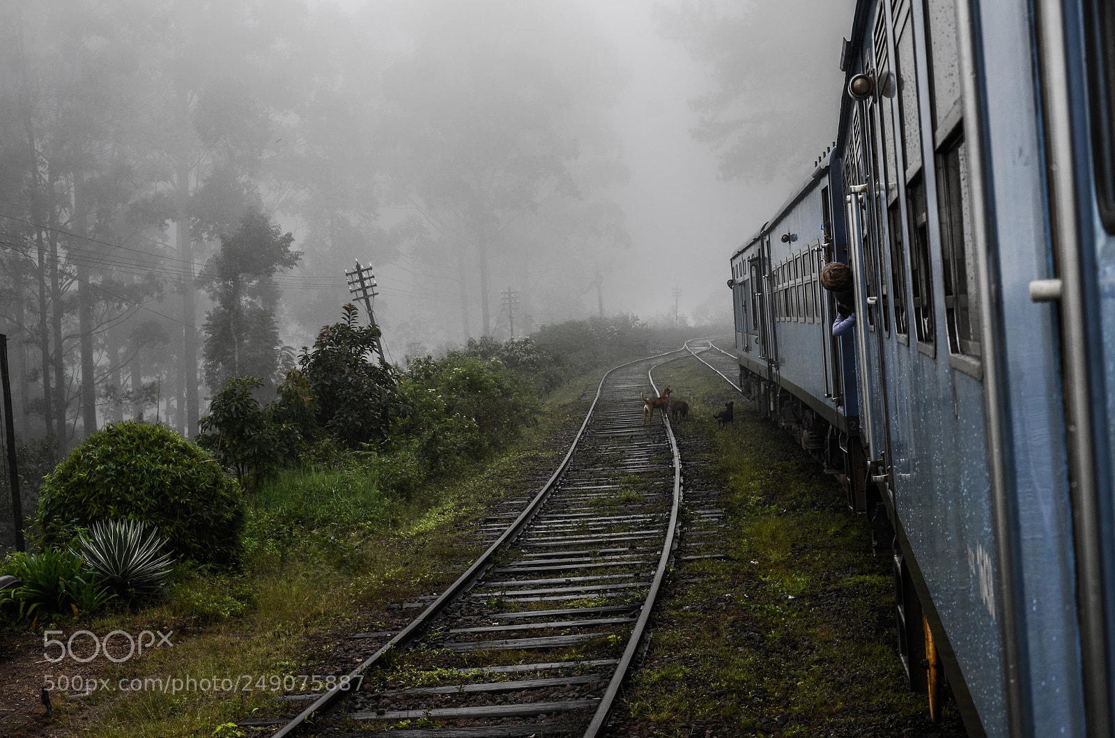 Nikon D7000 sample photo. Foggy journey photography