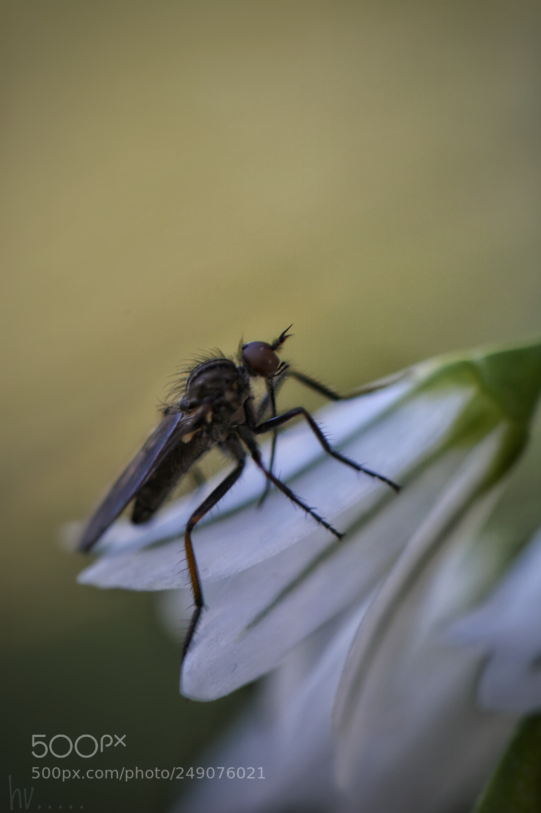 Nikon D7100 sample photo. Untitled photography