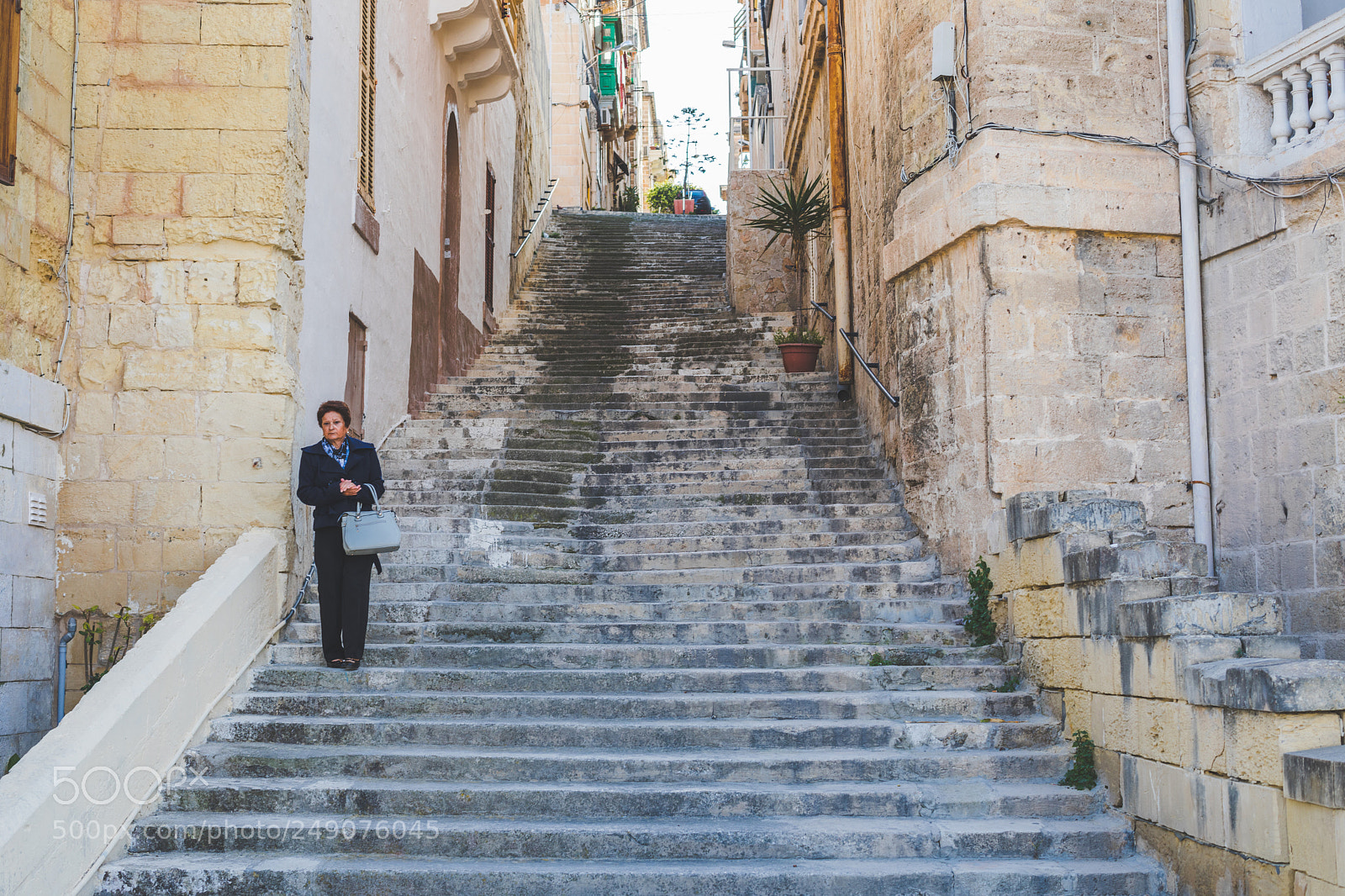 Canon EOS 5D Mark IV sample photo. Elegant maltese photography