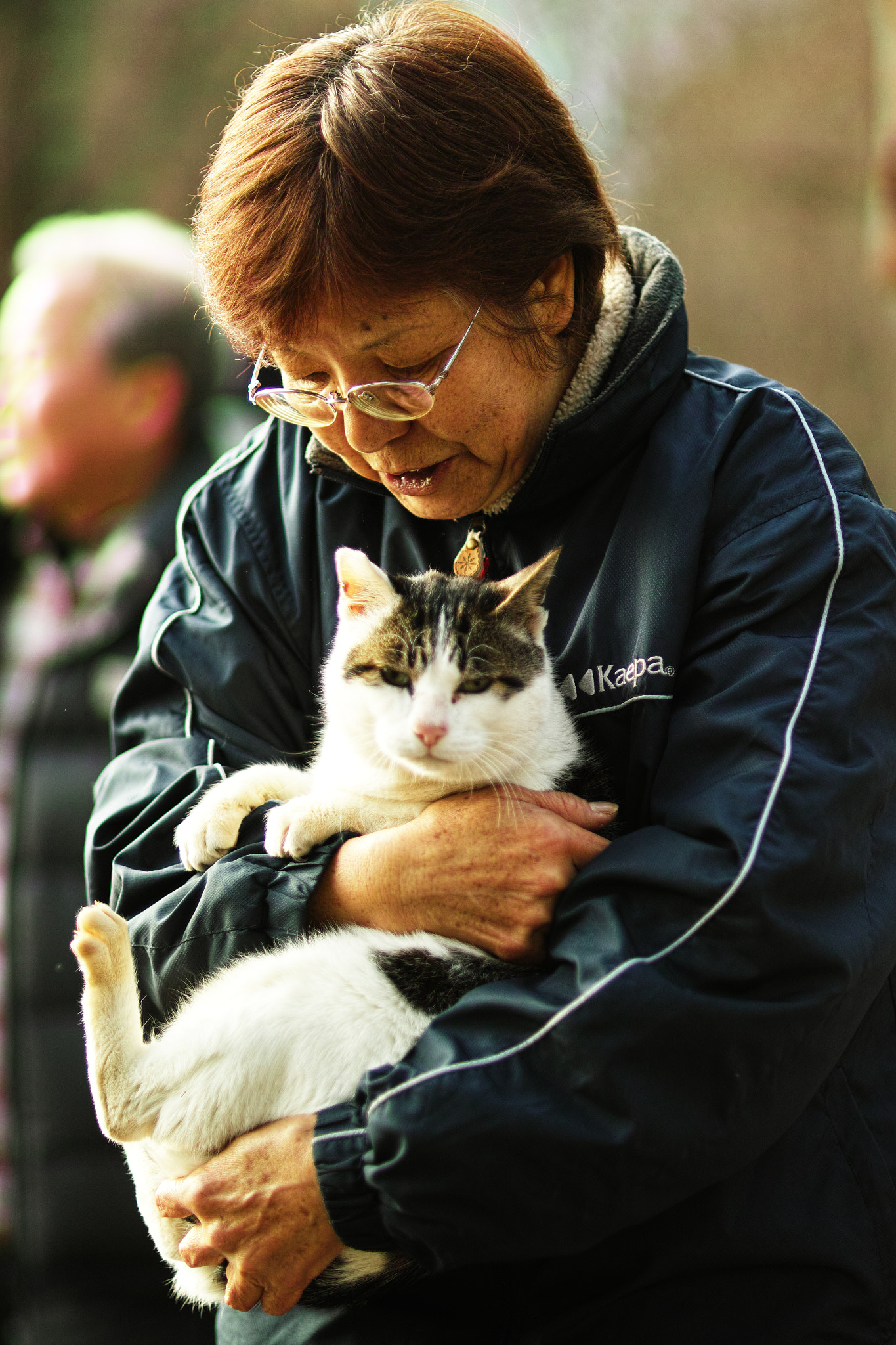 Sigma 85mm F1.4 EX DG HSM sample photo. Cat every day photography