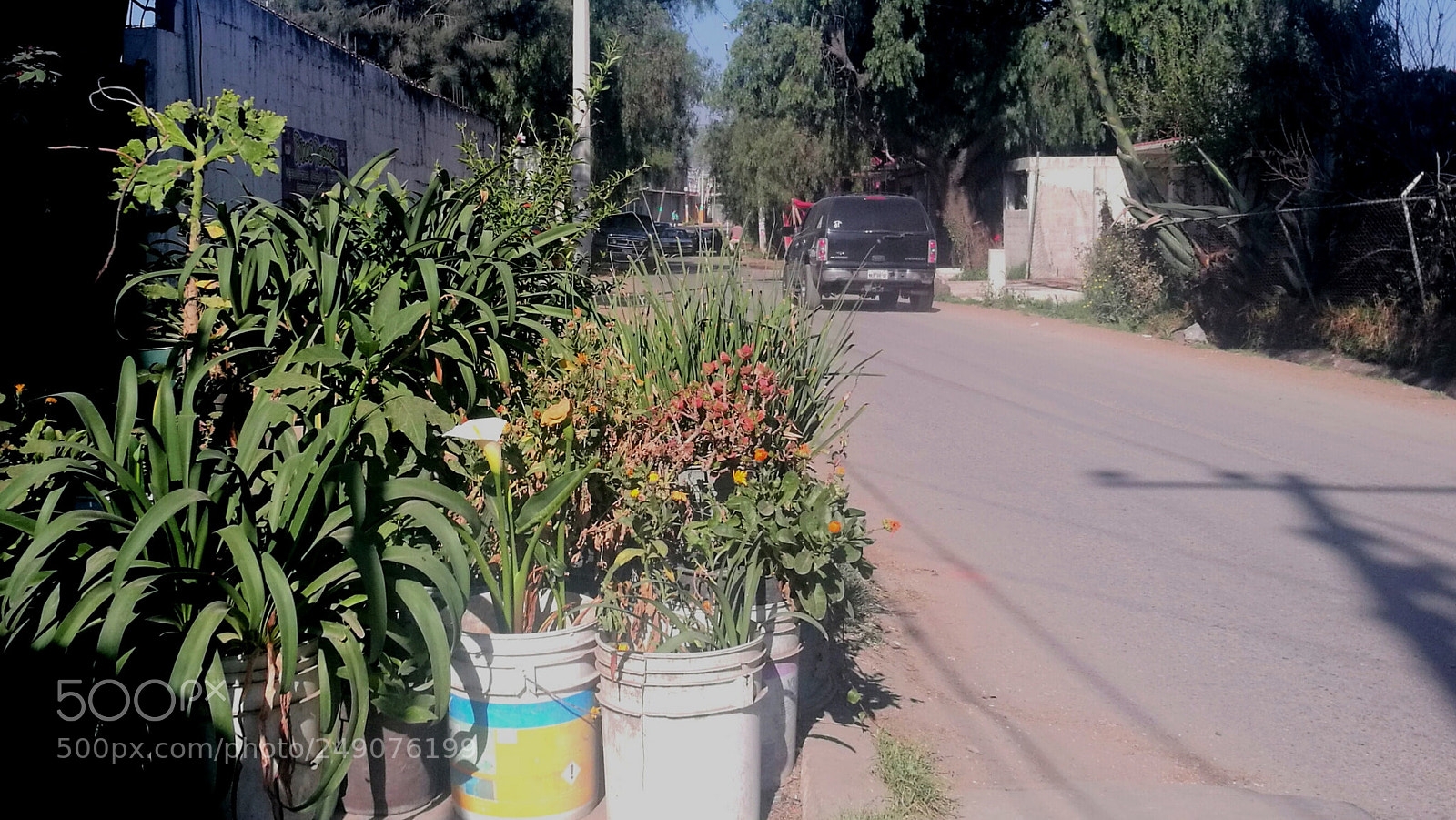 HUAWEI P9 sample photo. Dust garden photography