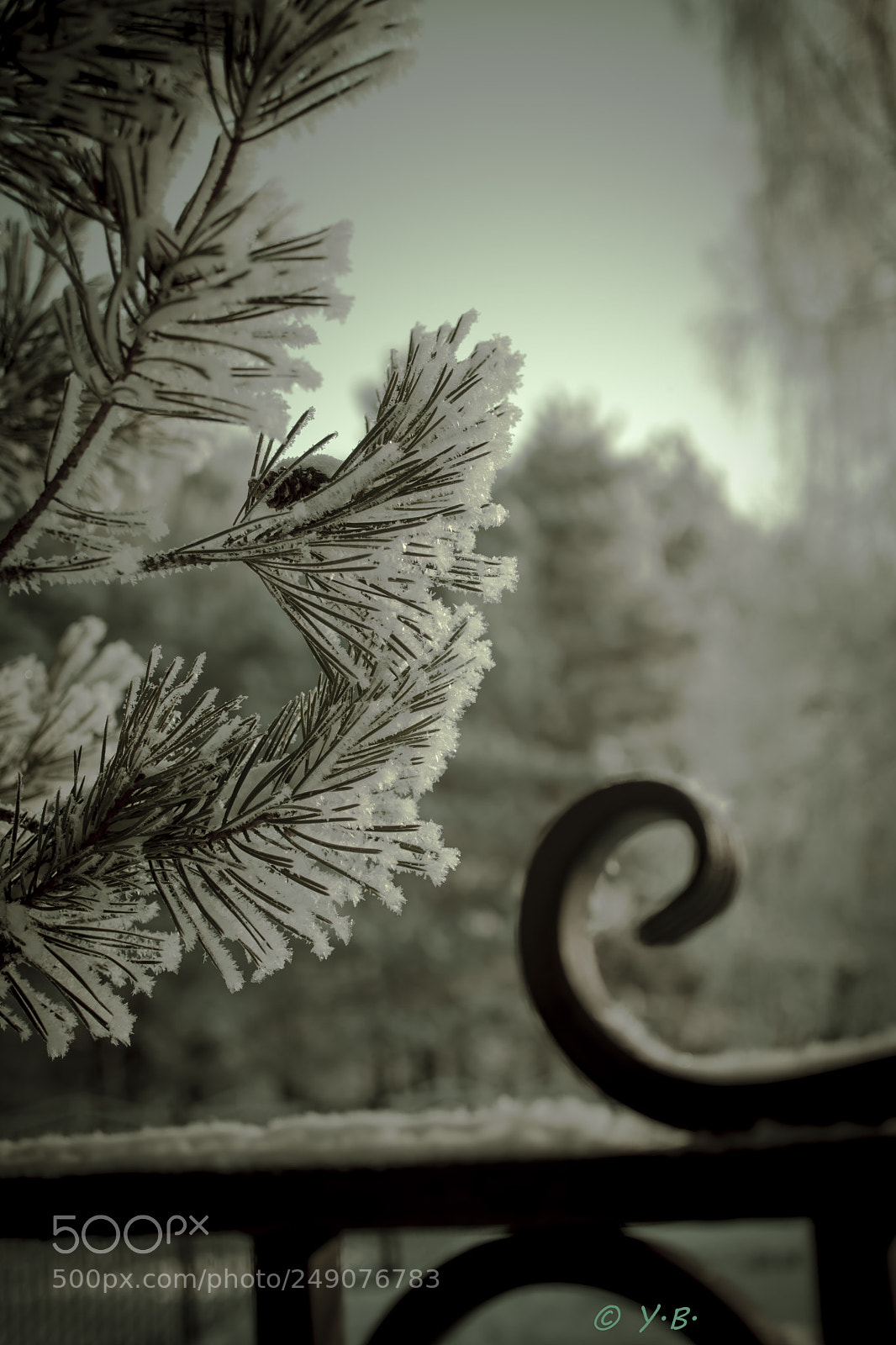 Pentax K-70 sample photo. Winter park photography