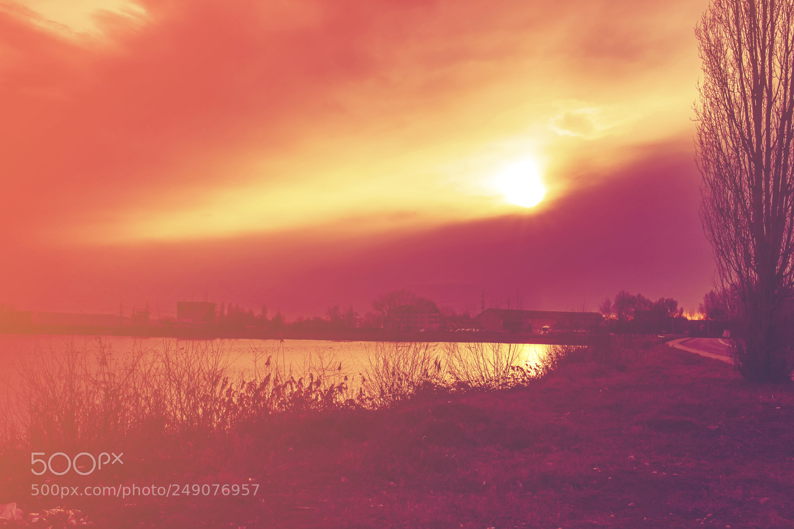 Canon EOS 750D (EOS Rebel T6i / EOS Kiss X8i) sample photo. Red sunrise photography
