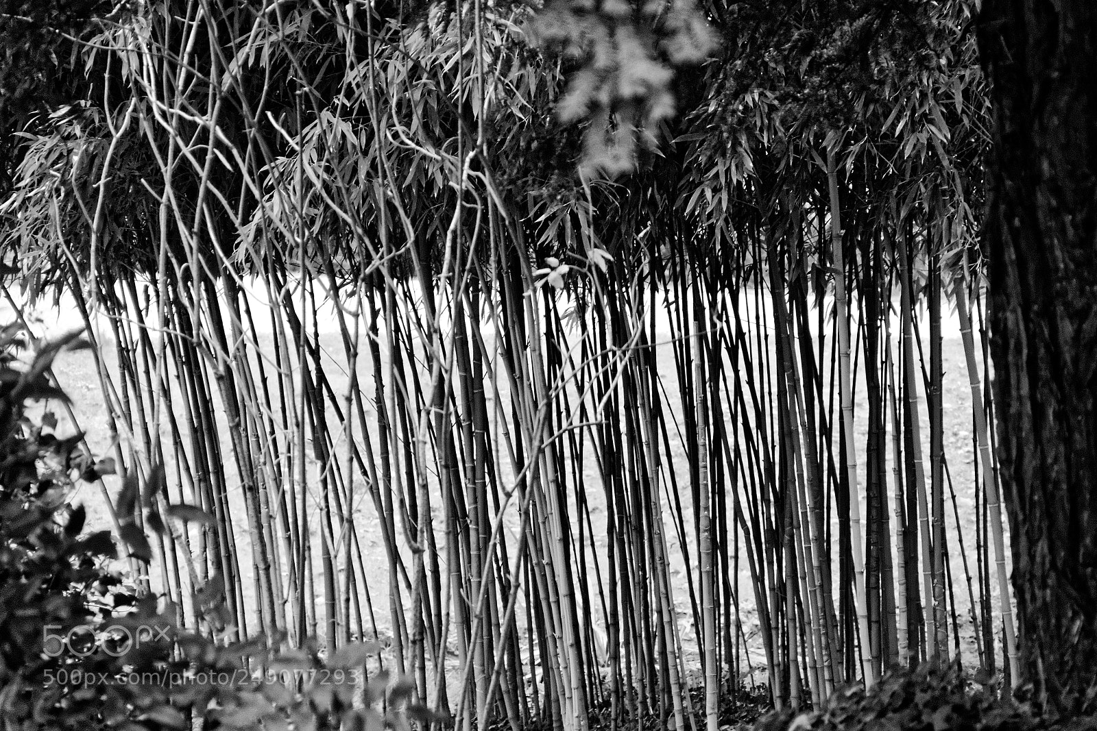 Canon EF-S 18-135mm F3.5-5.6 IS sample photo. Moulin du parc photography