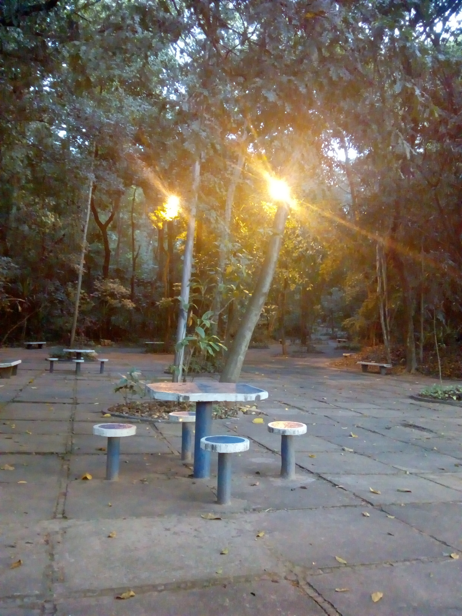 Motorola Moto C Plus sample photo. ������������������������������� photography