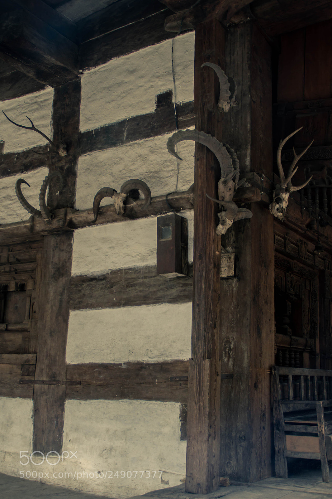 Canon EOS 7D sample photo. Ritual killings. photography