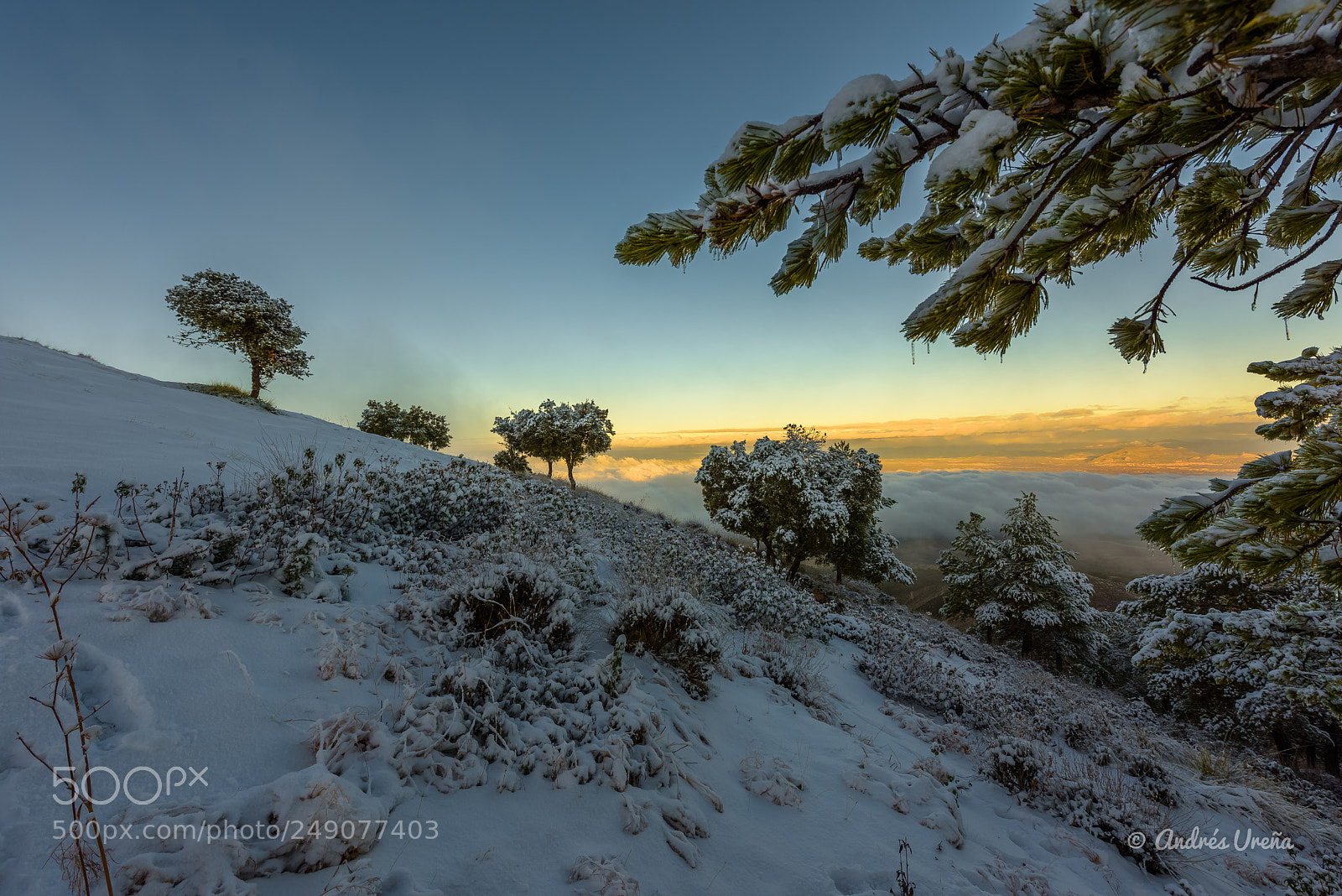 Nikon D810 sample photo. Frío amanecer photography