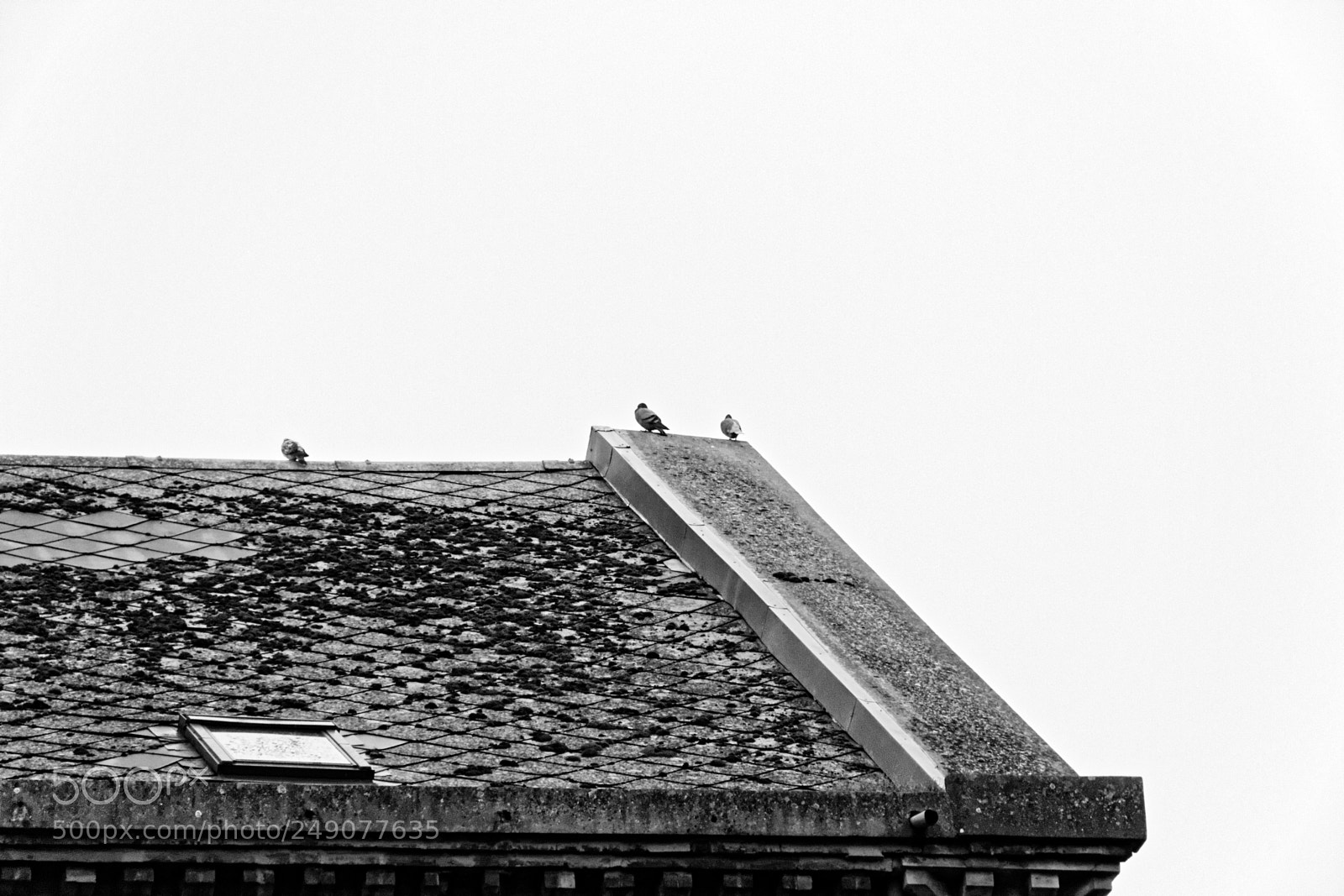 Canon EF-S 18-135mm F3.5-5.6 IS sample photo. Moulin du parc photography