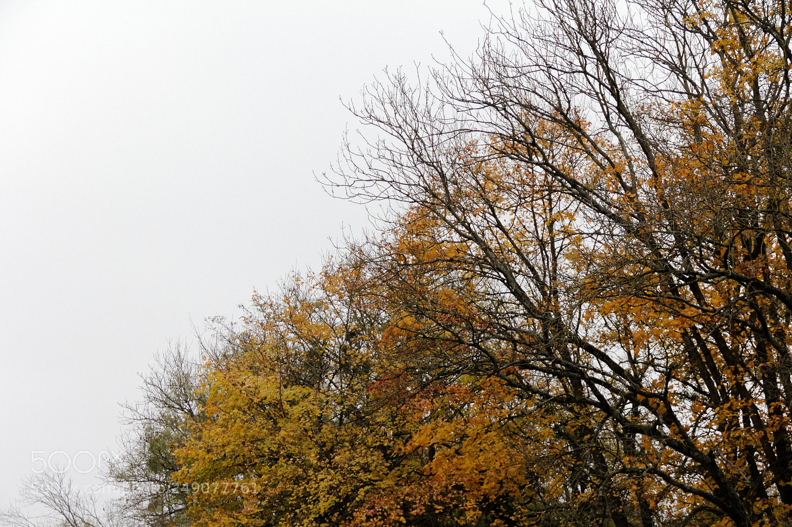 Canon EF-S 18-135mm F3.5-5.6 IS sample photo. Moulin du parc photography