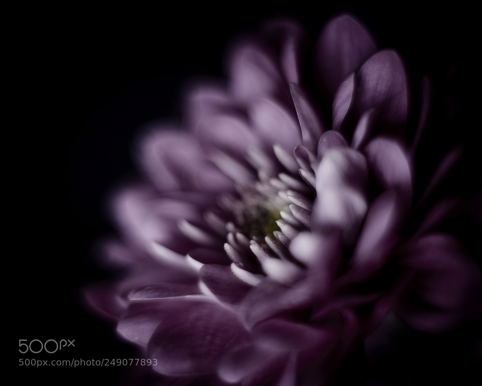 Nikon D800E sample photo. Resist the darkness photography