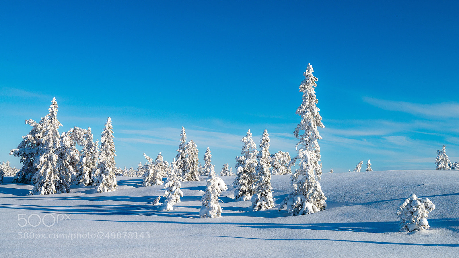 Nikon D800E sample photo. Skrimvinter photography