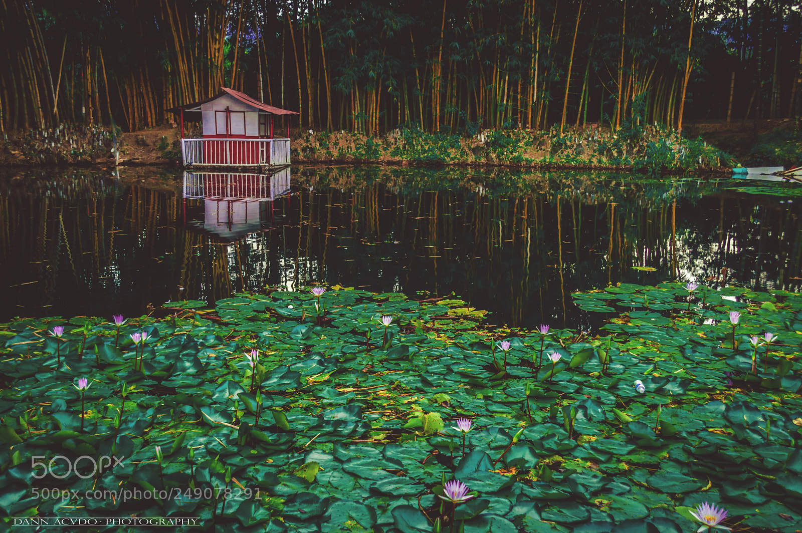 Nikon D3200 sample photo. Nature! photography