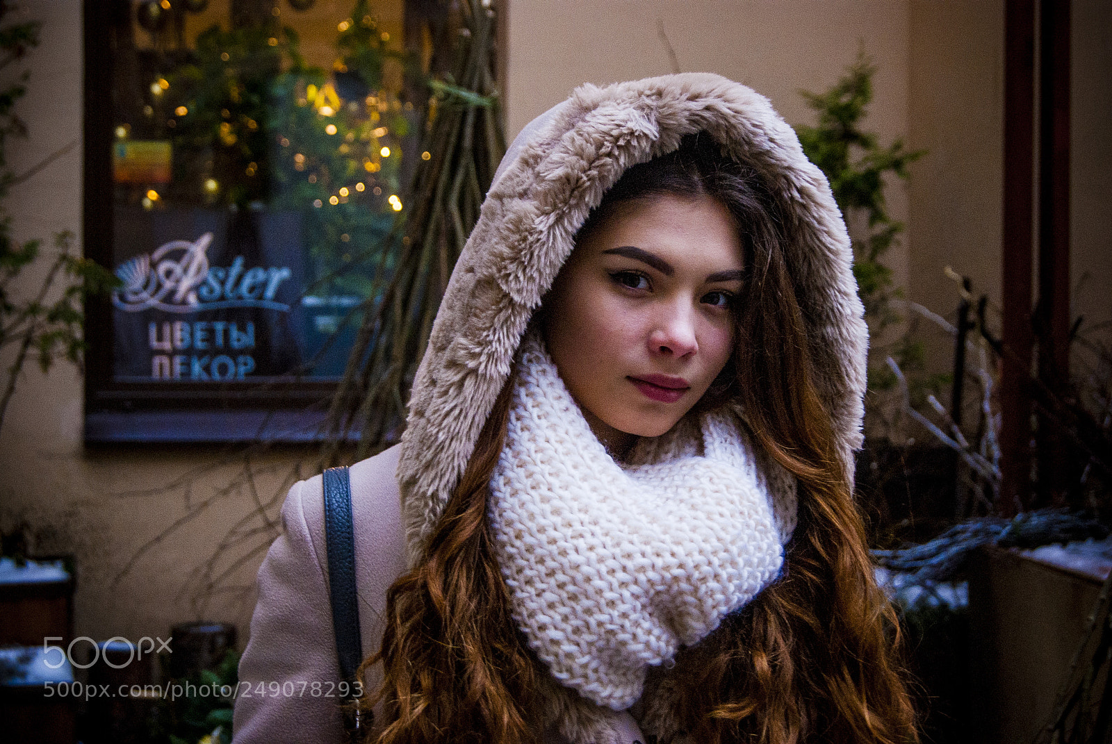 Sony Alpha DSLR-A330 sample photo. Beauty winter photography