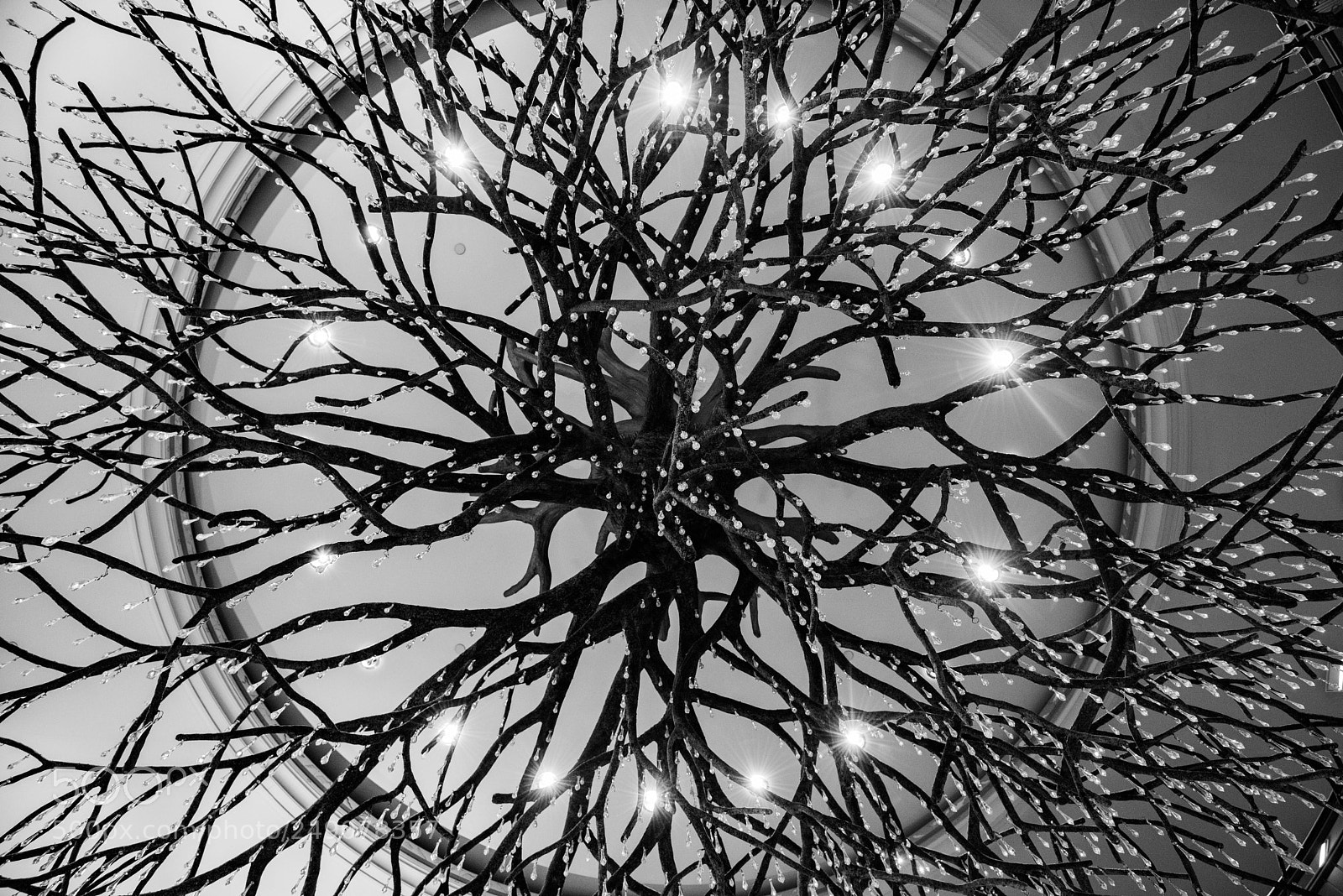 Nikon D810 sample photo. New york in my photography
