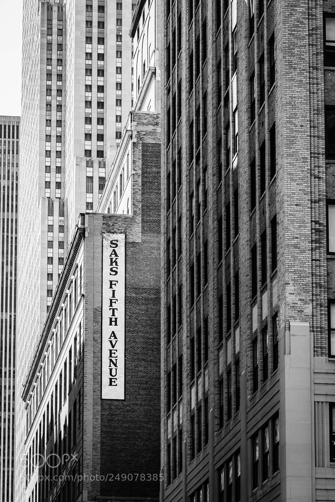 Nikon D810 sample photo. New york in my photography
