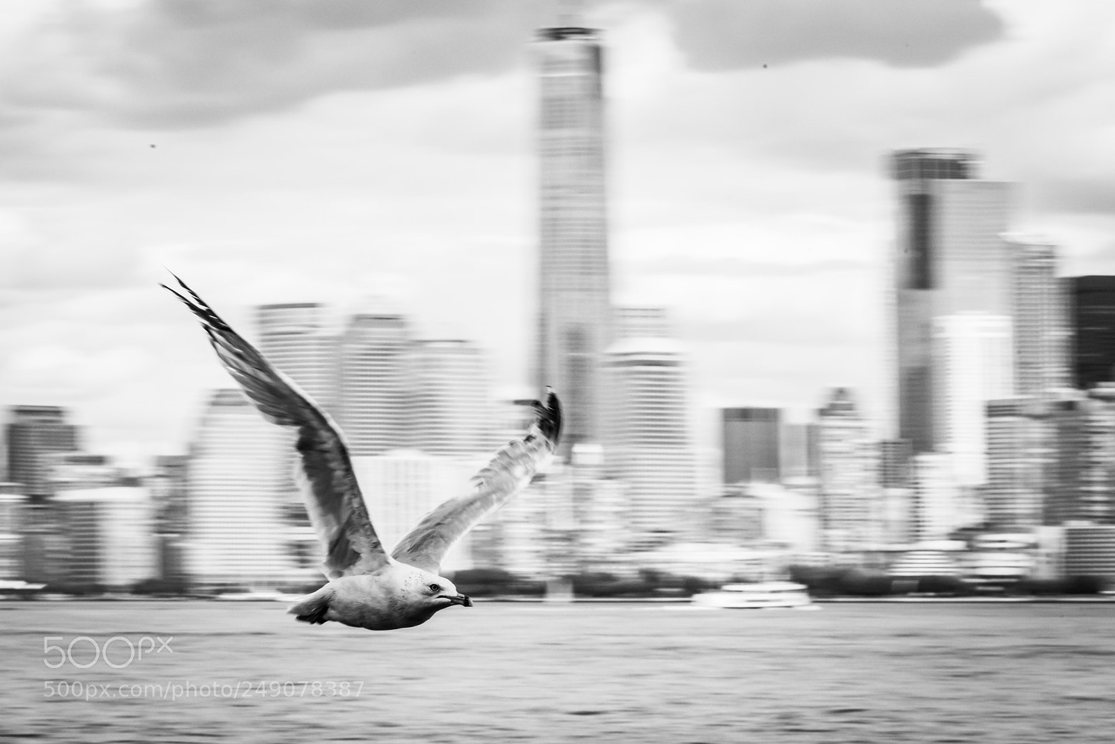 Nikon D810 sample photo. New york in my photography