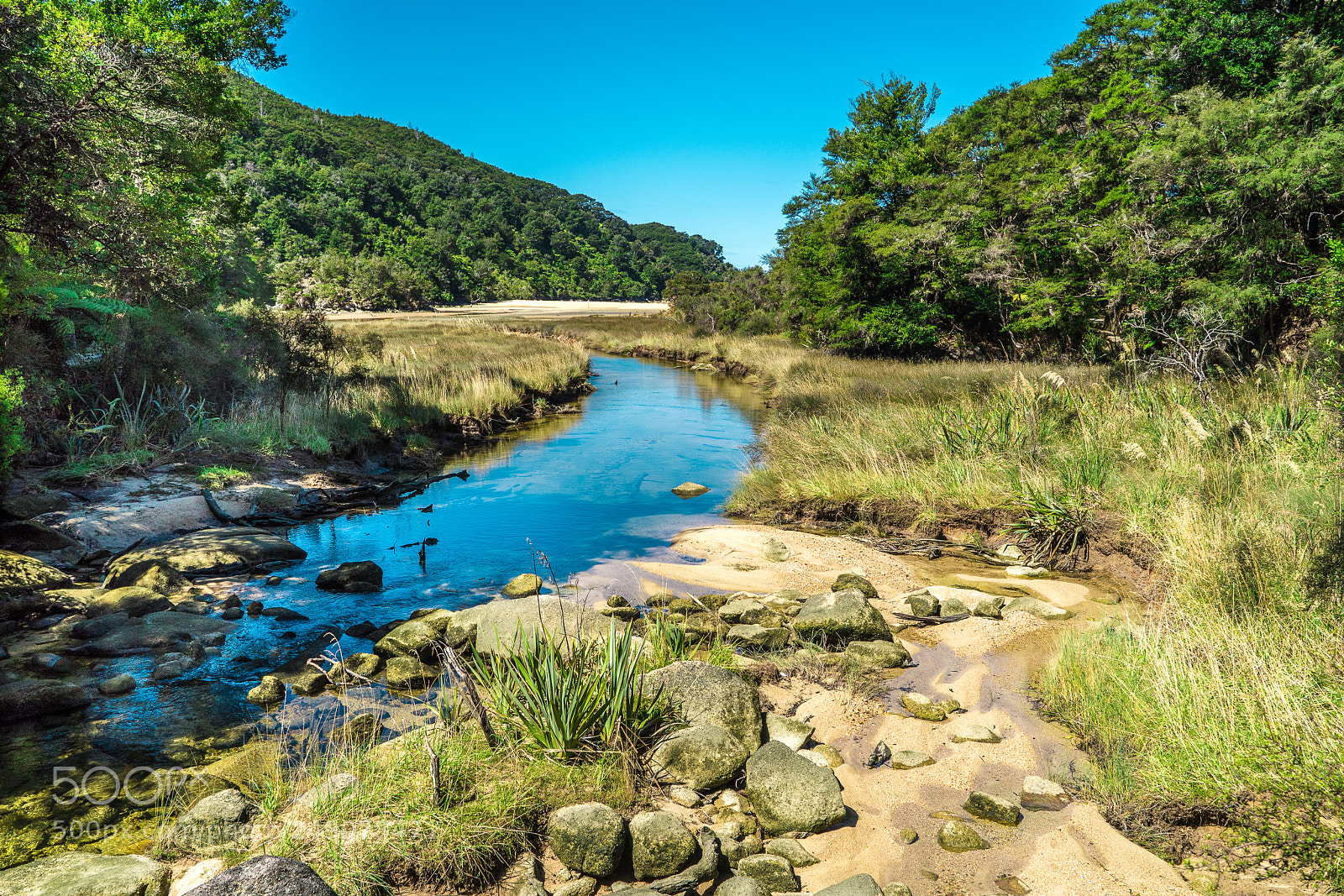 Sony a9 sample photo. Bark bay estuary photography
