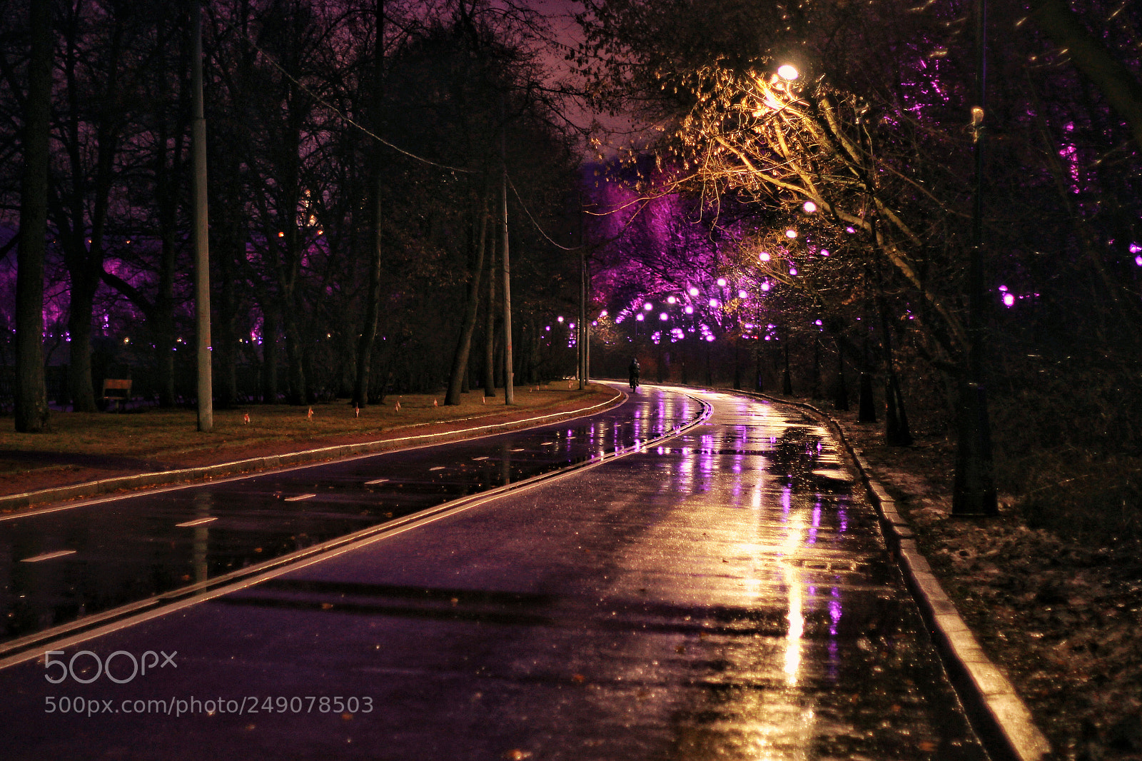 Canon EOS 60D sample photo. Colored winter, moscow photography