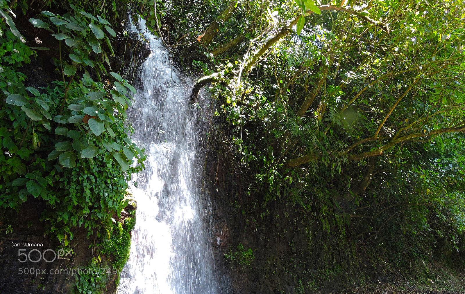 Nikon Coolpix P600 sample photo. Catarata photography