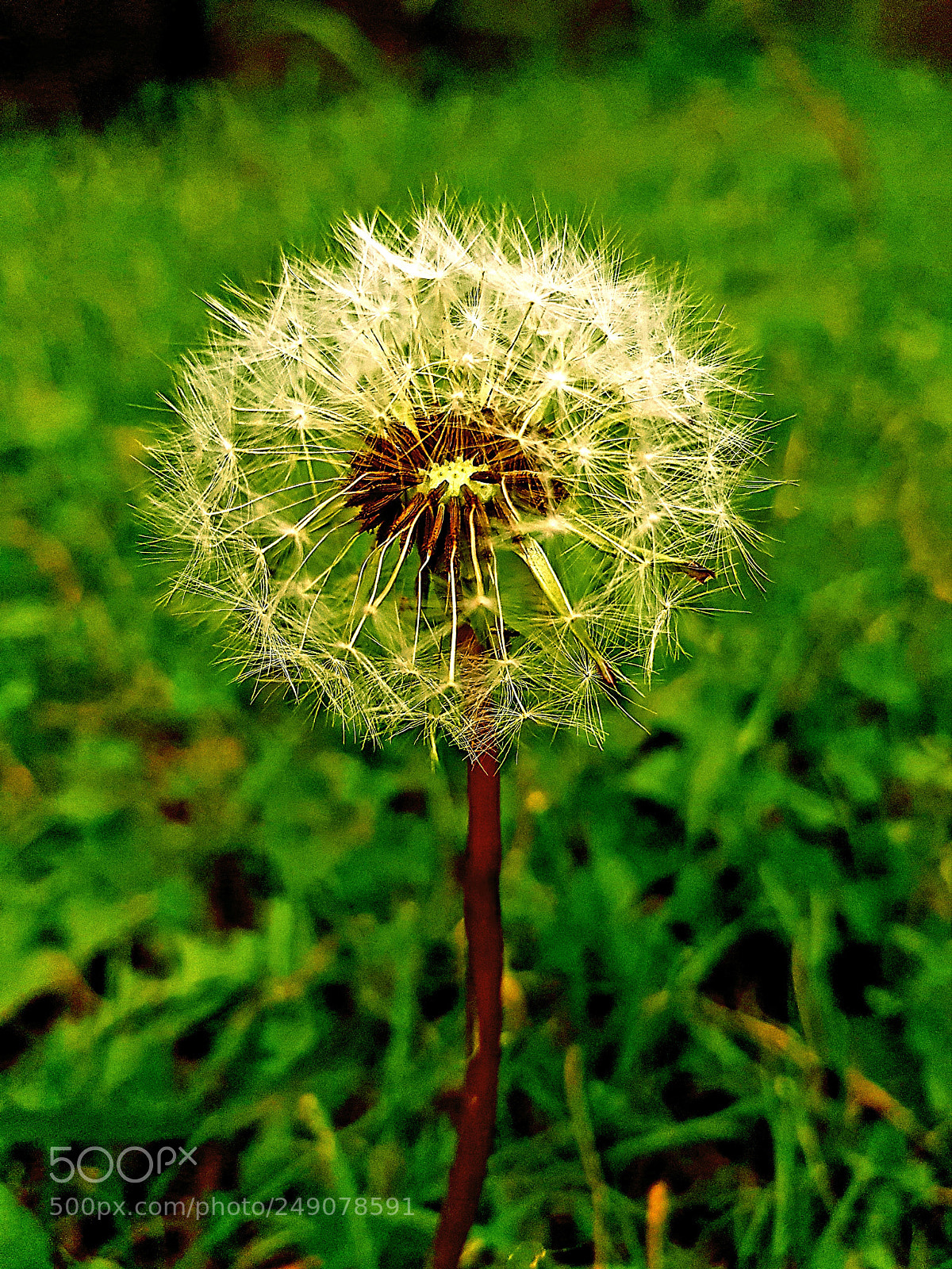 Samsung Galaxy S8+ sample photo. Untitled photography