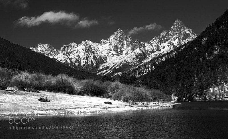 Canon EOS-1D X sample photo. Al2v1844-1.jpg photography