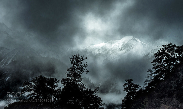 Canon EOS-1D X sample photo. Al2v3391-2.jpg photography