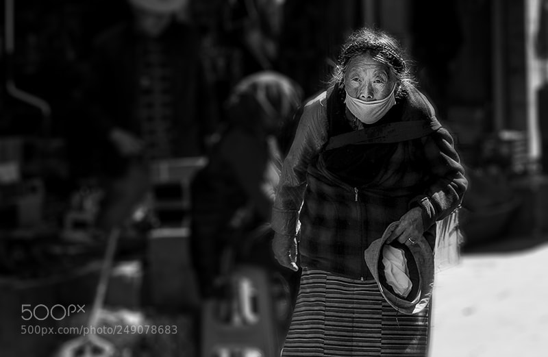 Canon EOS-1D X sample photo. Al2v4986-1.jpg photography