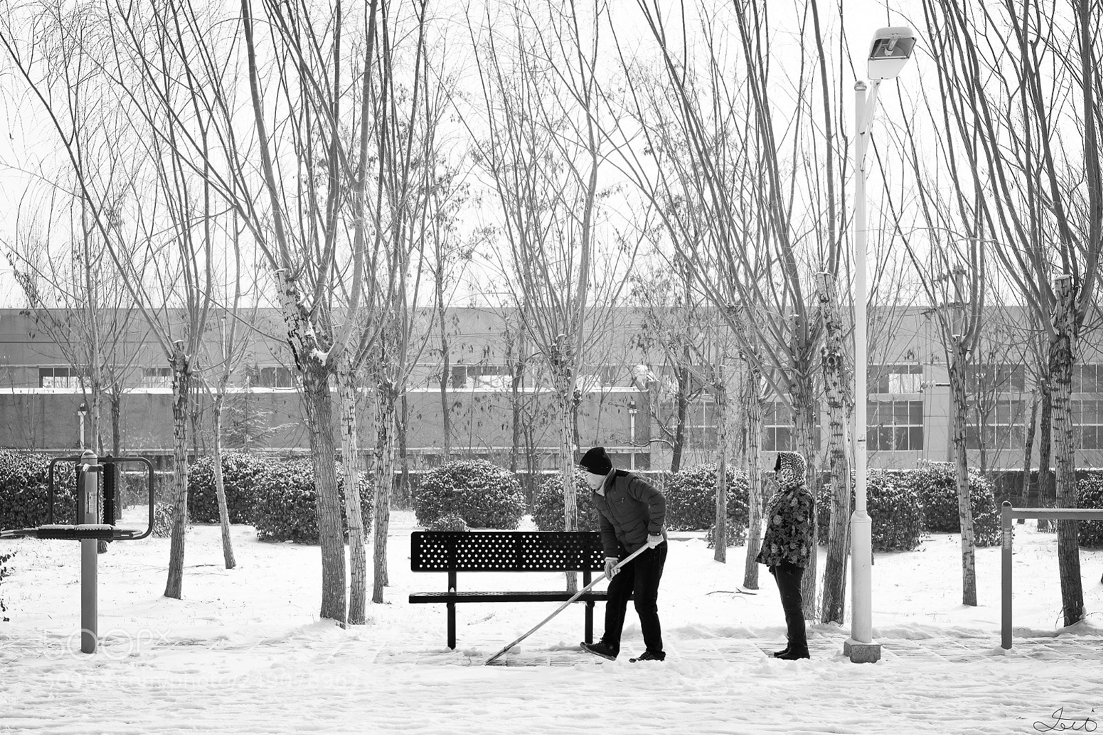 Fujifilm X-T20 sample photo. Warm winter (暖冬) photography