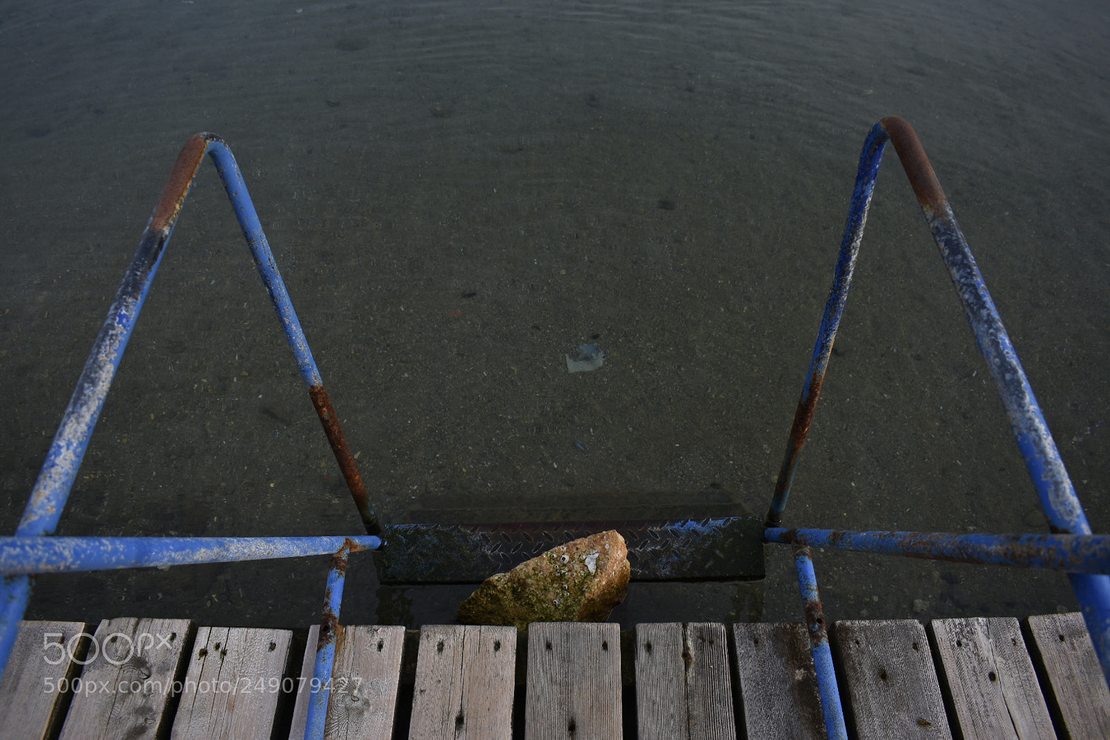 Nikon D3400 sample photo. Untitled photography