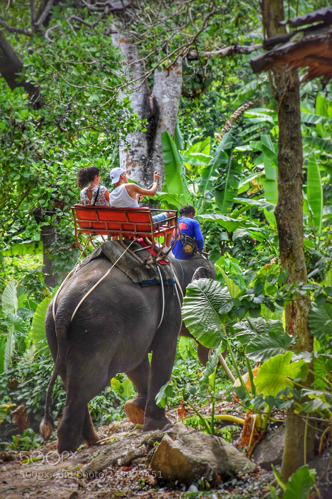 Nikon D7200 sample photo. Phuket safari eco+  phuket . photography