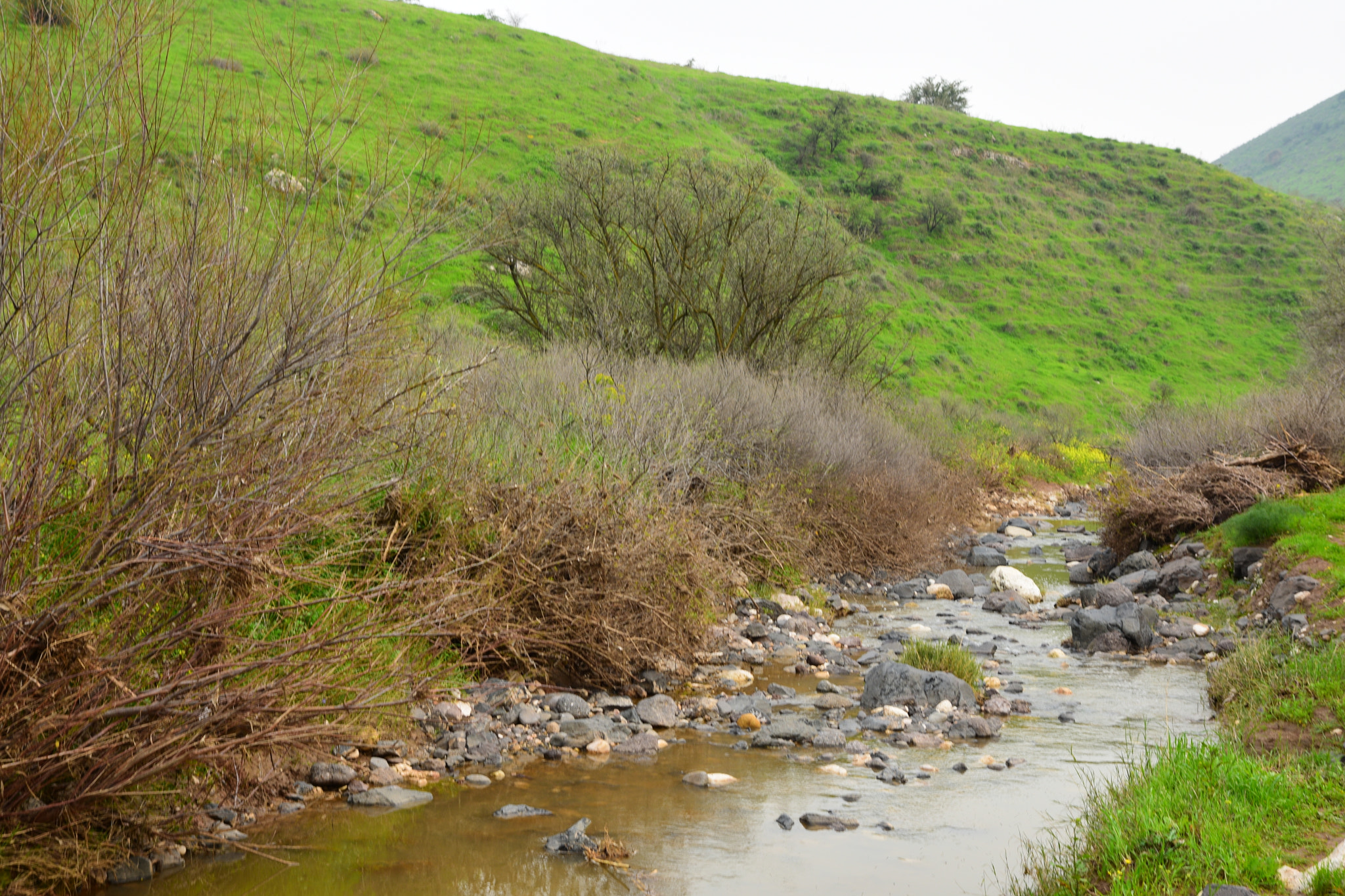 Nikon D3400 sample photo. The river between the hills photography