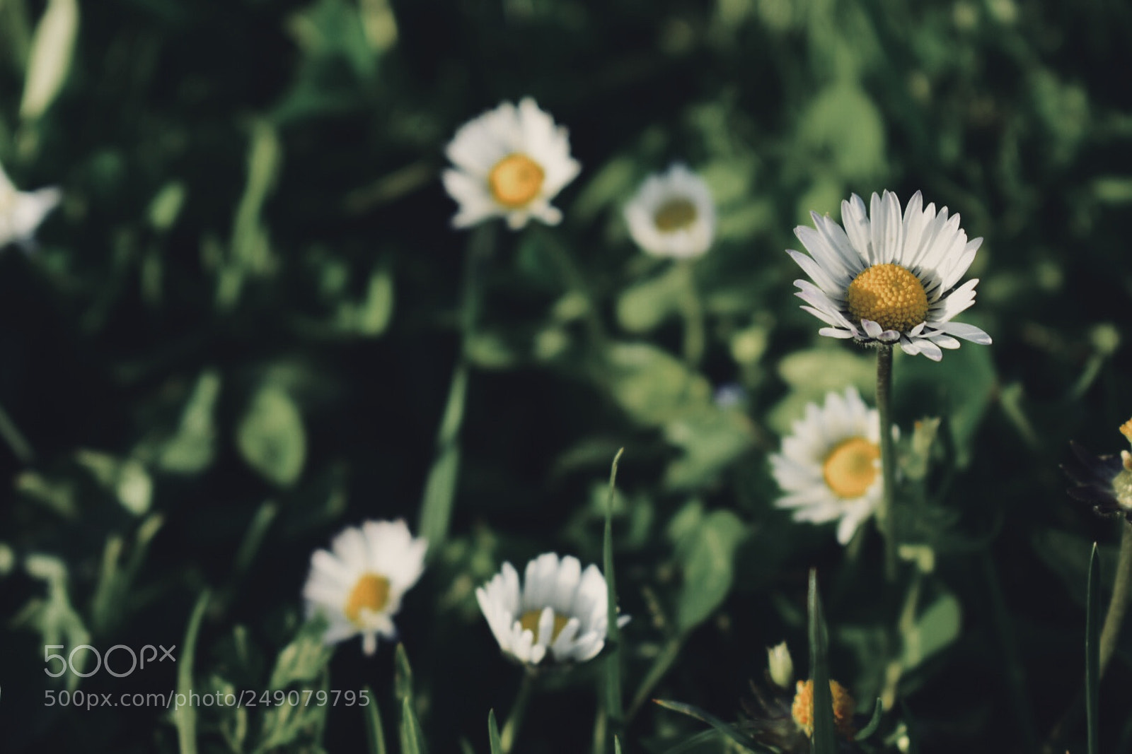 Nikon D5300 sample photo. Untitled photography