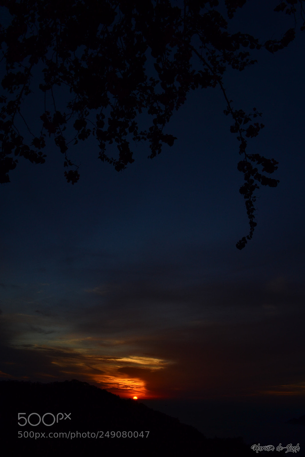 Nikon D3100 sample photo. See you sun. photography