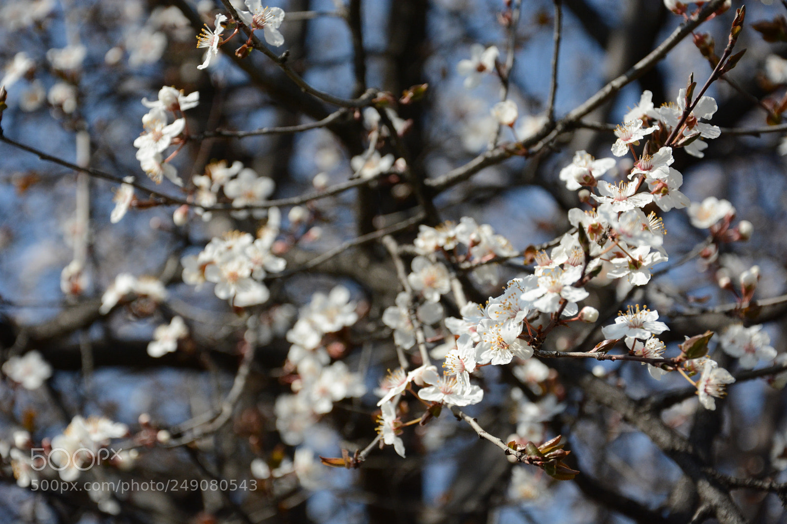 Nikon D7100 sample photo. Untitled photography