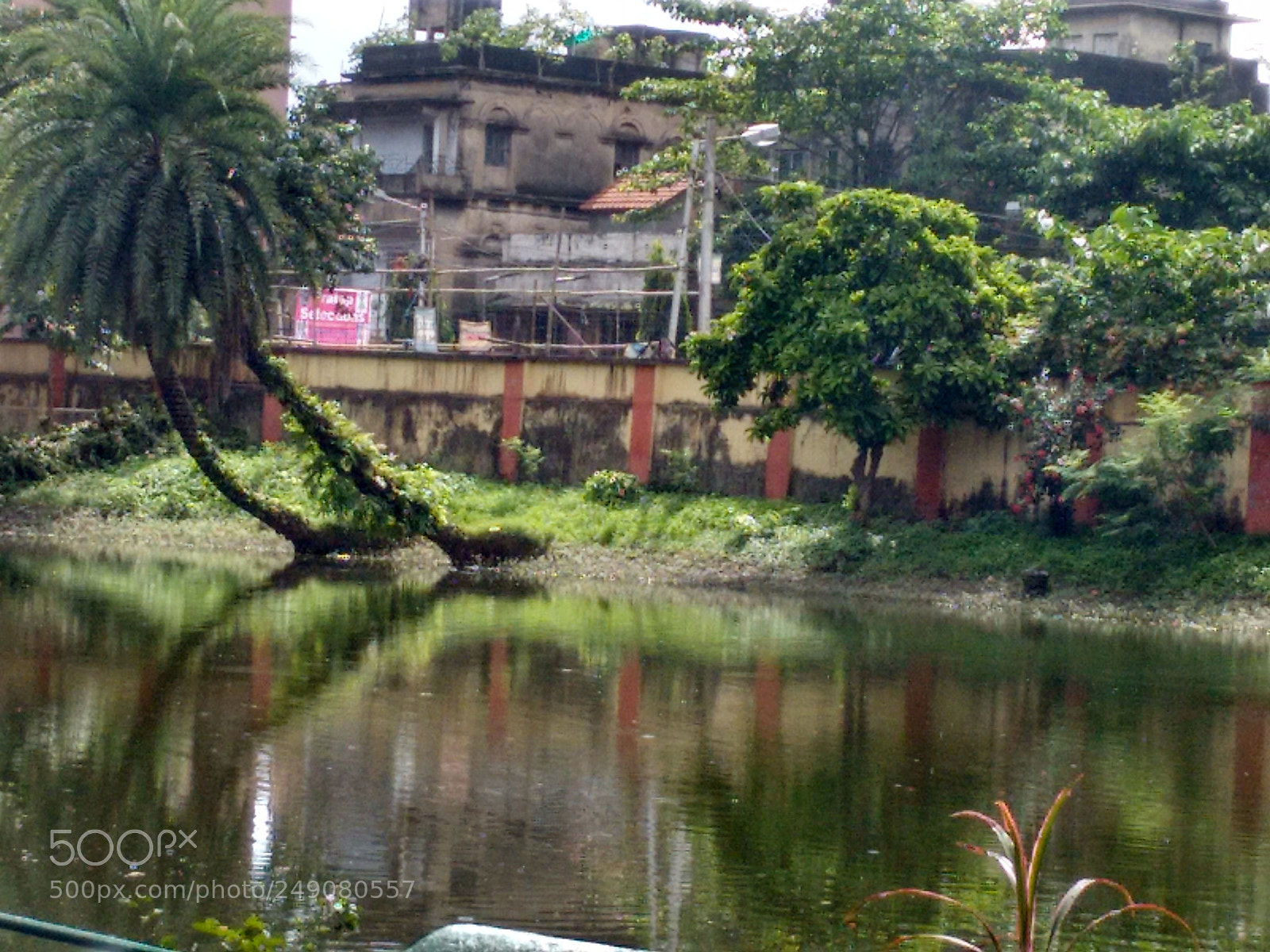 Motorola Moto G (2nd Gen) sample photo. Photography photography