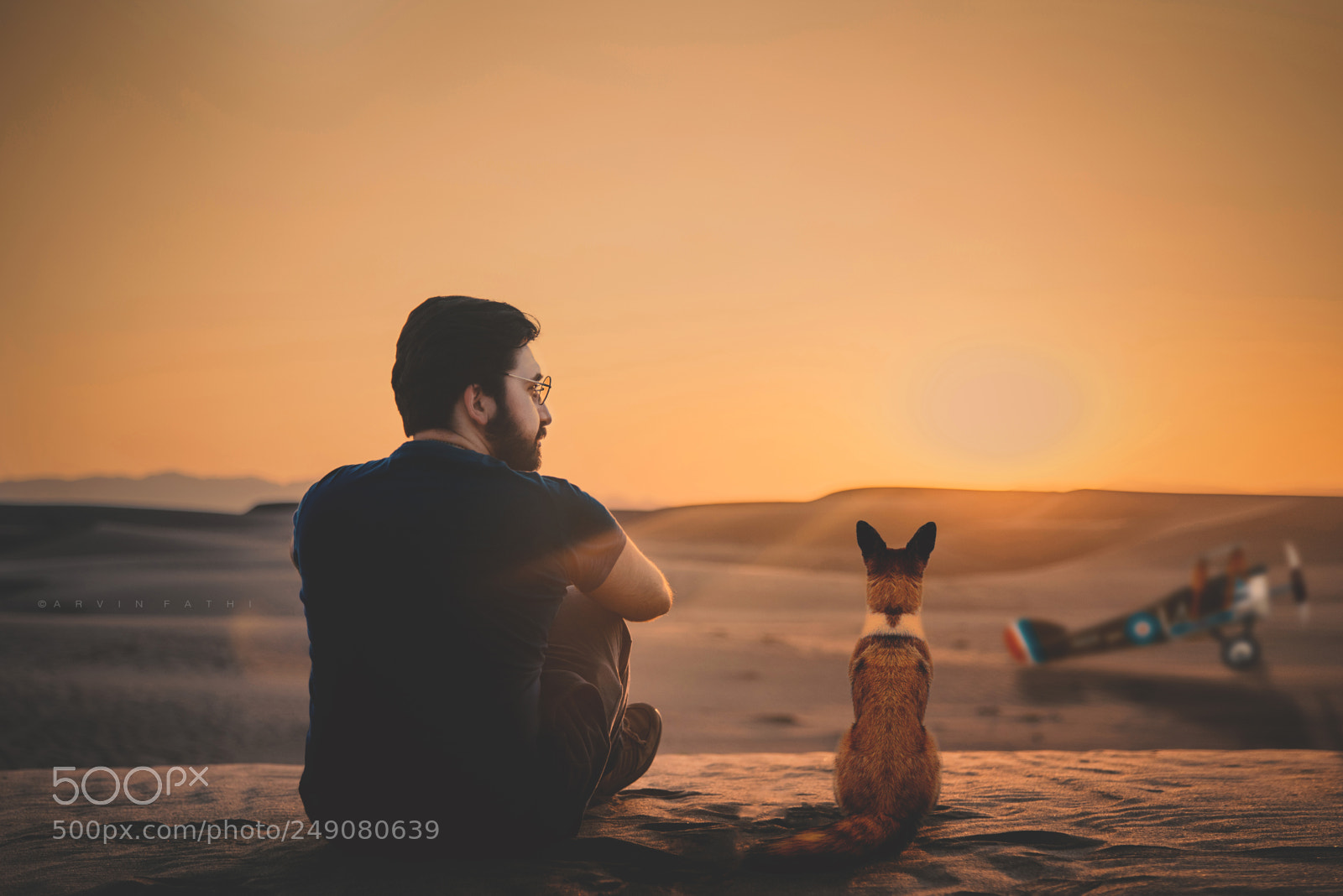 Nikon D810 sample photo. The little prince photography