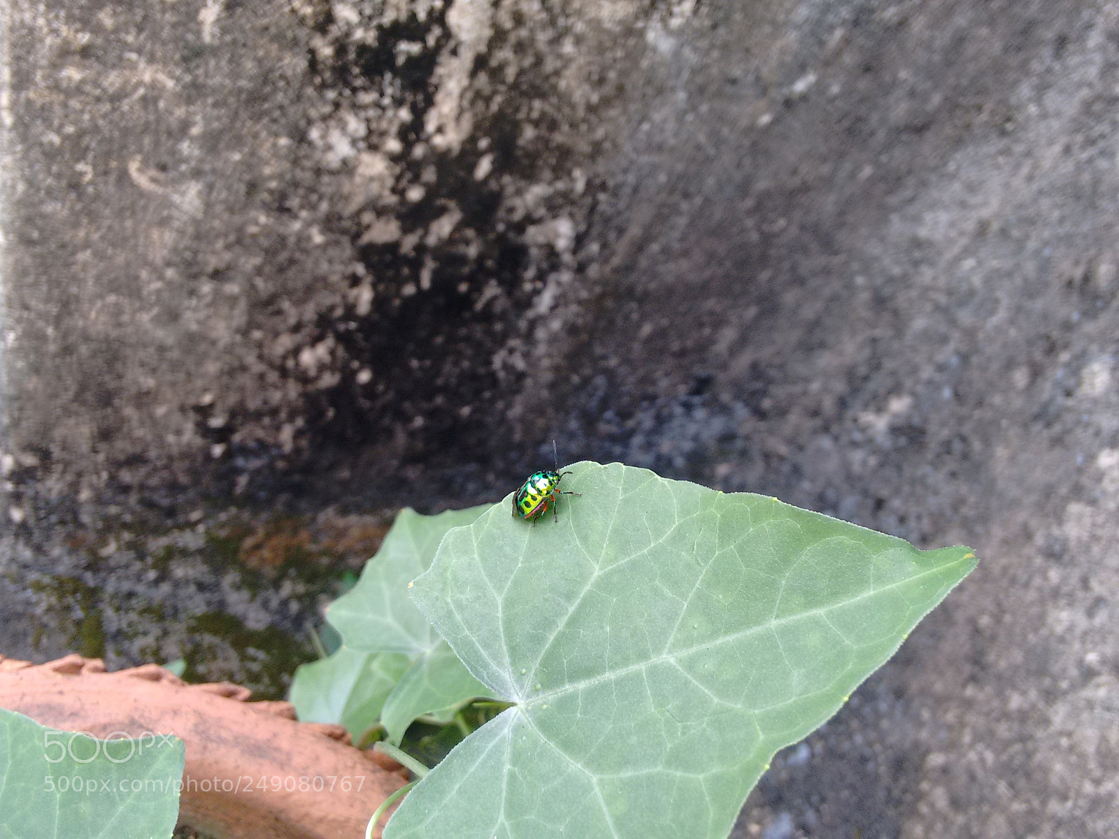 Motorola Moto G (2nd Gen) sample photo. Img_20160930_083732680.jpg photography